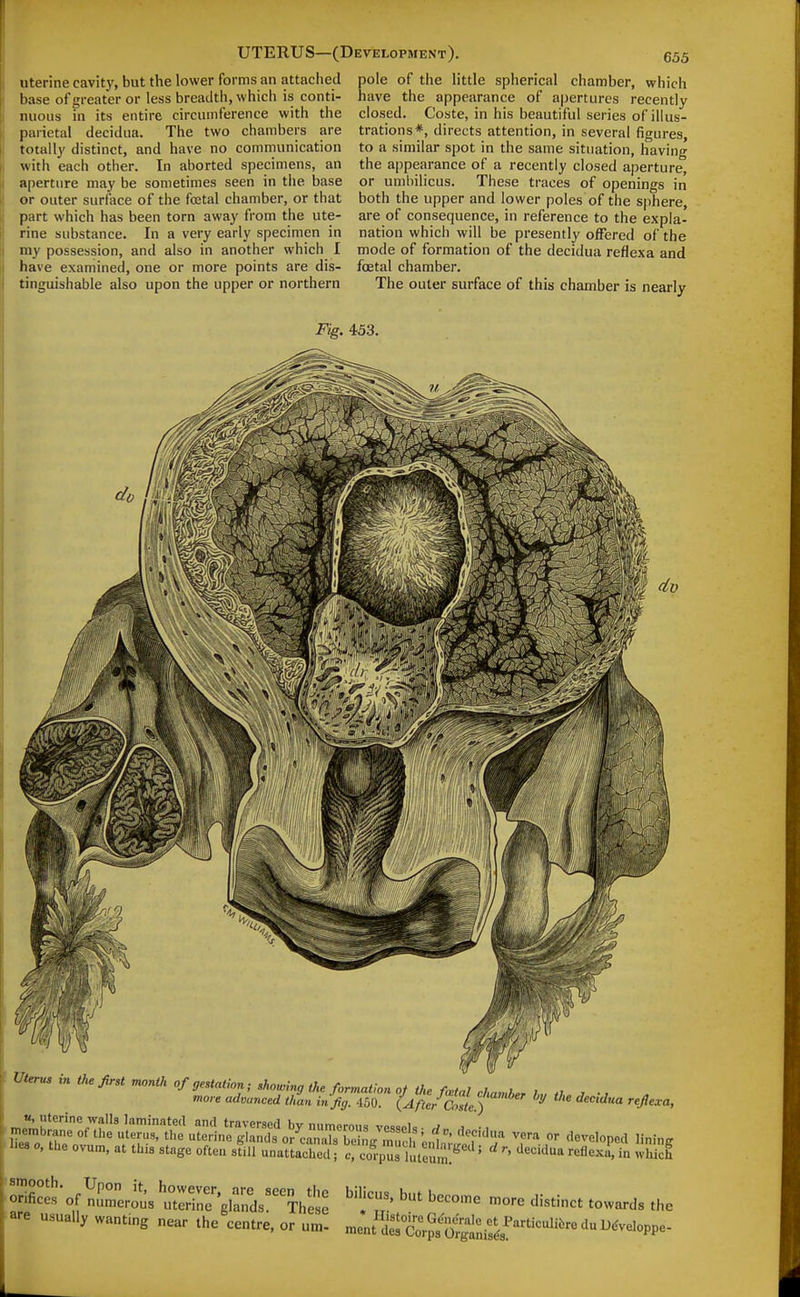 uterine cavity, but the lower forms an attached base of greater or less breadth, which is conti- nuous in its entire circumference with the parietal decidua. The two chambers are totall}' distinct, and have no communication with each other. In aborted specimens, an aperture may be sometimes seen in the base or outer surface of the fcetal chamber, or that part which has been torn away from the ute- rine substance. In a very early specimen in my possession, and also in another which I have examined, one or more points are dis- tinguishable also upon the upper or northern pole of the little spherical chamber, which have the appearance of apertures recently closed. Coste, in his beautiful series of illus- trations*, directs attention, in several figures, to a similar spot in the same situation, having the appearance of a recently closed aperture, or umbilicus. These traces of openings in both the upper and lower poles of the sphere, are of consequence, in reference to the expla- nation which will be presently offered of the mode of formation of the decidua reflexa and foetal chamber. The outer surface of this chamber is nearly Fig. 453. 9 dv Uterus in the first month of gestation; shou,i„g the fonnathn oj the foetal chamber t,.n , •, more advanced than in fig. 450. {After CosL^)  -^^^^^X^^::^ ^eciCaa vera or developed lining hes o, the ovum, at this stage often still unattaZl 1 c' ^3 luteu.n.'''''' ^ ''^^^'^^ ^vWch oSs-of iTerilis b~ .ore distinct towards the are usually wanting near the centre, or um- ment'irCo^^Xtif^a!''^^^^^^