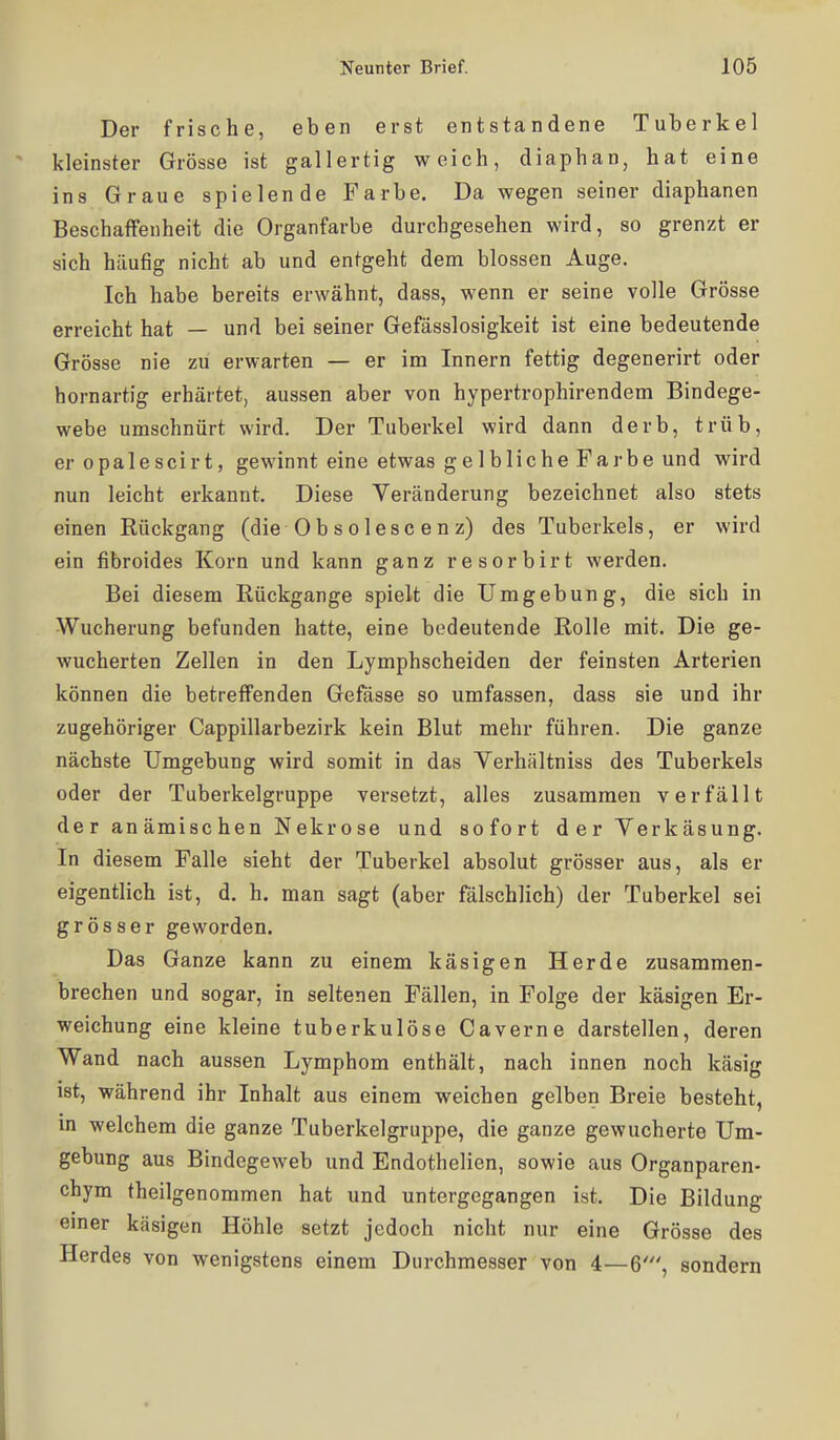 Der frische, eben erst entstandene Tuberkel kleinster Grösse ist gallertig weich, diaphan, hat eine ins Graue spielende Farbe. Da wegen seiner diaphanen Beschaffenheit die Organfarbe durchgesehen wird, so grenzt er sich häufig nicht ab und entgeht dem blossen Auge. Ich habe bereits erwähnt, dass, wenn er seine volle Grösse erreicht hat — und bei seiner Gefässlosigkeit ist eine bedeutende Grösse nie zu erwarten — er im Innern fettig degenerirt oder hornartig erhärtet, aussen aber von hypertrophirendem Bindege- webe umschnürt wird. Der Tuberkel wird dann derb, trüb, er opalescirt, gewinnt eine etwas gelbliche Farbe und wird nun leicht erkannt. Diese Veränderung bezeichnet also stets einen Rückgang (die 0b s olese e n z) des Tuberkels, er wird ein fibroides Korn und kann ganz resorbirt werden. Bei diesem Rückgange spielt die Umgebung, die sich in Wucherung befunden hatte, eine bedeutende Rolle mit. Die ge- wucherten Zellen in den Lymphscheiden der feinsten Arterien können die betreffenden Gefässe so umfassen, dass sie und ihr zugehöriger Cappillarbezirk kein Blut mehr führen. Die ganze nächste Umgebung wird somit in das Verhältniss des Tuberkels oder der Tuberkelgruppe versetzt, alles zusammen verfällt der anämischen Nekrose und sofort der Yerkäsung. In diesem Falle sieht der Tuberkel absolut grösser aus, als er eigentlich ist, d. h. man sagt (aber fälschlich) der Tuberkel sei grösser geworden. Das Ganze kann zu einem käsigen Herde zusammen- brechen und sogar, in seltenen Fällen, in Folge der käsigen Er- weichung eine kleine tuberkulöse Caverne darstellen, deren Wand nach aussen Lymphom enthält, nach innen noch käsig ist, während ihr Inhalt aus einem weichen gelben Breie besteht, in welchem die ganze Tuberkelgruppe, die ganze gewucherte Um- gebung aus Bindegeweb und Endothelien, sowie aus Organparen- chym theilgenommen hat und untergegangen ist. Die Bildung einer käsigen Höhle setzt jedoch nicht nur eine Grösse des Herdes von wenigstens einem Durchmesser von 4—6', sondern