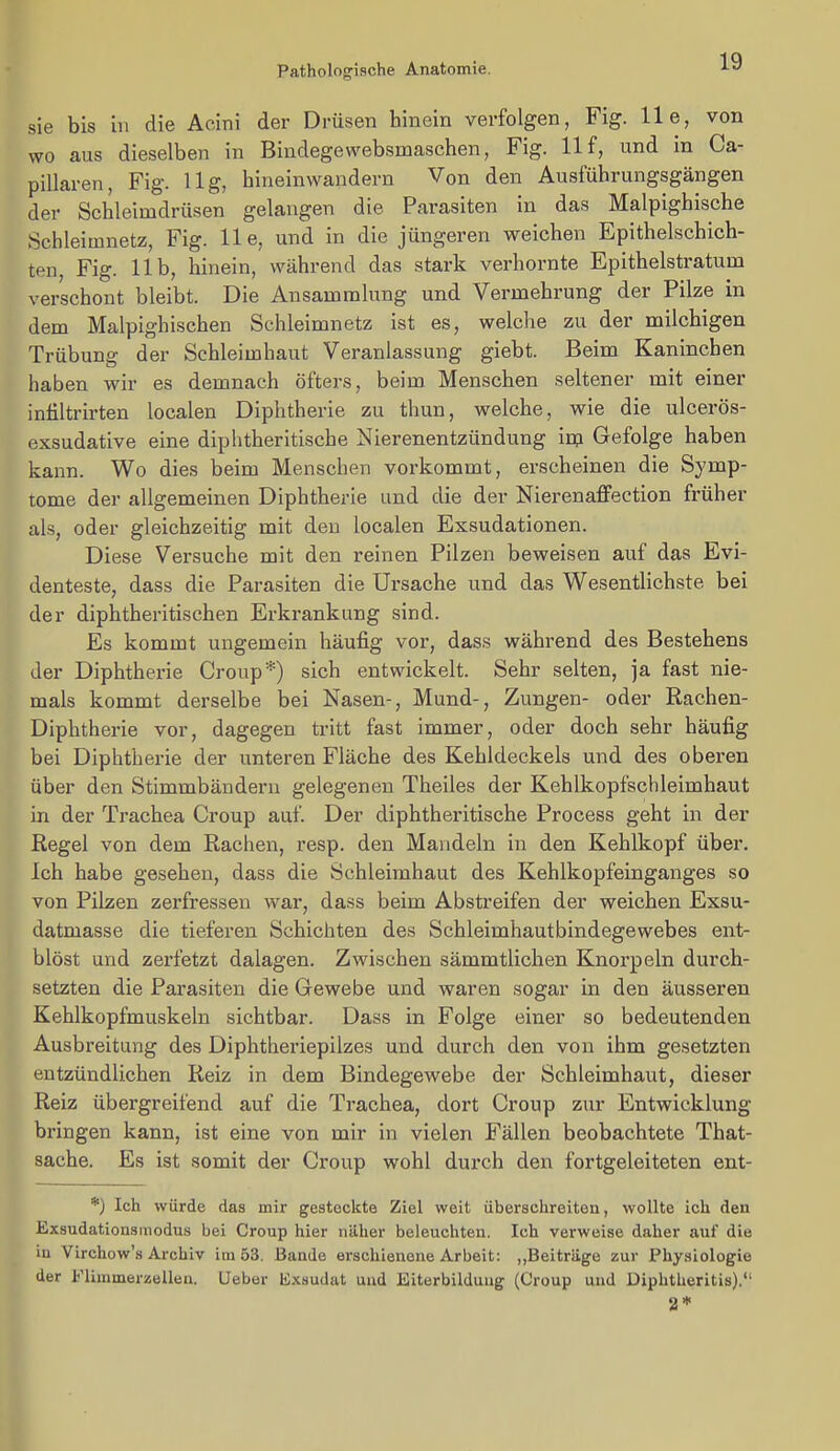 Pathologische Anatomie. sie bis in die Acini der Drüsen hinein verfolgen, Fig. 11 e, von wo aus dieselben in Bindegewebsmaschen, Fig. 11 f, und in Ca- pillaren, Fig. Ug, hineinwandern Von den Ausführungsgängen der Schleimdrüsen gelangen die Parasiten in das Malpighische Schleitnnetz, Fig. 11 e, und in die jüngeren weichen Epithelschich- ten, Fig. IIb, hinein, während das stark verhornte Epithelstratum verschont bleibt. Die Ansammlung und Vermehrung der Pilze in dem Malpighischen Schleimnetz ist es, welche zu der milchigen Trübung der Schleimhaut Veranlassung giebt. Beim Kaninchen haben wir es demnach öfters, beim Menschen seltener mit einer intiltrirten localen Diphtherie zu thun, welche, wie die ulcerös- exsudative eine diphtheritische Nierenentzündung im Gefolge haben kann. Wo dies beim Menschen vorkommt, erscheinen die Symp- tome der allgemeinen Diphtherie und die der Nierenaffection früher als, oder gleichzeitig mit den localen Exsudationen. Diese Versuche mit den reinen Pilzen beweisen auf das Evi- denteste, dass die Parasiten die Ursache und das Wesentlichste bei der diphtheritischen Erkrankung sind. Es kommt ungemein häufig vor, dass während des Bestehens der Diphtherie Croup*) sich entwickelt. Sehr selten, ja fast nie- mals kommt derselbe bei Nasen-, Mund-, Zungen- oder Rachen- Diphtherie vor, dagegen tritt fast immer, oder doch sehr häufig bei Diphtherie der unteren Fläche des Kehldeckels und des oberen über den Stimmbändern gelegenen Theiles der Kehlkopfschleimhaut in der Trachea Croup auf. Der diphtheritische Process geht in der Regel von dem Rachen, resp. den Mandeln in den Kehlkopf über. Ich habe gesehen, dass die Schleimhaut des Kehlkopfeinganges so von Pilzen zerfressen war, dass beim Abstreifen der weichen Exsu- datmasse die tieferen Schichten des Schleimhautbindegewebes ent- blöst und zerfetzt dalagen. Zwischen sämmtlichen Knorpeln durch- setzten die Parasiten die Grewebe und waren sogar in den äusseren Kehlkopfmuskeln sichtbar. Dass in Folge einer so bedeutenden Ausbreitung des Diphtheriepilzes und durch den von ihm gesetzten entzündlichen Reiz in dem Bindegewebe der Schleimhaut, dieser Reiz übergreifend auf die Trachea, dort Croup zur Entwicklung bringen kann, ist eine von mir in vielen Fällen beobachtete That- sache. Es ist somit der Croup wohl durch den fortgeleiteten ent- *) Ich würde das mir gesteckte Ziel weit überschreiten, wollte ich den Exsudationsinodus bei Croup hier näher beleuchten. Ich verweise daher auf die iu Virchow's Archiv im 53. Bande erschienene Arbeit: ,,Beiträge zur Phy.siologie der Flimmerzellen. Ueber Exsudat und Eiterbildung (Croup und Diphtheritis).*' a*