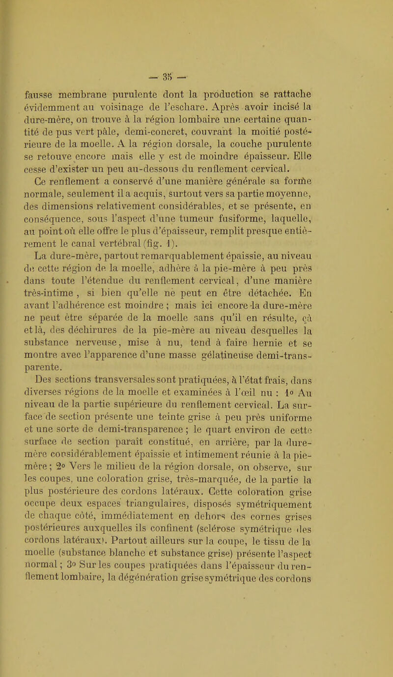 fausse membrane purulente dont la production se rattache évidemment au voisinage de l’eschare. Après avoir incisé la dure-mère, on trouve à la région lombaire une certaine quan- tité de pus vert pâle, demi-concret, couvrant la moitié posté- rieure de la moelle. A la région dorsale, la couche purulente se retouve encore mais elle y est de moindre épaisseur. Elle cesse d’exister un peu au-dessous du renflement cervical. Ce renflement a conservé d’une manière générale sa forrïie normale, seulement il a acquis, surtout vers sa partie moyenne, des dimensions relativement considérables, et se présente, en conséquence, sous l’aspect d’une tumeur fusiforme, laquelle, au point où elle offre le plus d’épaisseur, remplit presque entiè- rement le canal vertébral(fig. J). La dure-mère, partout remarquablement épaissie, au niveau de cette région de la moelle, adhère à la pie-mère à peu près dans toute l’étendue du renflement cervical, d’une manière très-intime , si bien qu’elle ne peut en être détachée. En avant l’adhérence est moindre ; mais ici encore-la dure-mère ne peut être séparée de la moelle sans qu’il en résulte, çà et là, des déchirures de la pie-mère au niveau desquelles la substance nerveuse, mise à nu, tend à faire hernie et se montre avec l’apparence d’une masse gélatineuse demi-trans- parente. Des sections transversales sont pratiquées, à l’état frais, dans diverses régions de la moelle et examinées à l’œil nu : 1<> Au niveau de la partie supérieure du renflement cervical. La sur- face de section présente une teinte grise à peu près uniforme et une sorte de demi-transparence ; le quart environ de cette surface de section paraît constitué, en arrière, par la dure- mère considérablement épaissie et intimement réunie à la pie- mère ; 2° Vers le milieu de la région dorsale, on observe, sur les coupes, une coloration grise, très-marquée, de la partie la plus postérieure des cordons latéraux. Cette coloration grise occupe deux espaces triangulaires, disposés symétriquement de chaque côté, immédiatement en dehors des cornes grises postérieures auxquelles ils confinent (sclérose symétrique des cordons latéraux». Partout ailleurs sur la coupe, le tissu de la moelle (substance blanche et substance grise) présente l’aspect normal ; 3° Sur les coupes pratiquées dans l’épaisseur du ren- flement lombaire, la dégénération grise symétrique des cordons