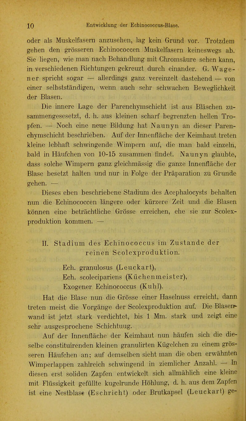 oder als Muskelfasern anzusehen, lag kein Grund vor. Trotzdem gehen den grösseren Echinococcen Muskelfasern keineswegs ab. Sie liegen, wie man nach Behandlung mit Ghrornsäure sehen kann, in verschiedenen Richtungen gekreuzt durch einander. G. Wage- ner spricht sogar — allerdings ganz vereinzelt dastehend — von einer selbstständigen, wenn auch sehr schwachen Beweglichkeit der Blasen. Die innere Lage der Parenchymschicht ist aus Bläschen zu- sammengesesetzt, d. h. aus kleinen scharf begrenzten hellen Tro- pfen. — Noch eine neue Bildung hat Naunyn an dieser Paren- chymschicht beschrieben. Auf der Innenfläche der Keimhaut treten kleine lebhaft schwingende Wimpern auf, die man bald einzeln, bald in Häufchen von 10-15 zusammen findet. Naunyn glaubte, dass solche Wimpern ganz gleichmässig die ganze Innenfläche der Blase besetzt halten und nur in Folge der Präparation zu Grunde gehen. — Dieses eben beschriebene Stadium des Acephalocysts behalten nun die Echinococcen längere oder kürzere Zeit und die Blasen können eine beträchtliche Grösse erreichen, ehe sie zur Scolex- produktion kommen. — II. Stadium des Echinococcus im Zustande der reinen Scolexproduktion. Ech. granulosus (Leuckart), Ech. scolecipariens (Küchenmeister), Exogener Echinococcus (Kühl). Hat die Blase nun die Grösse einer Haselnuss erreicht, dann treten meist die Vorgänge der Scolexproduktion auf. Die Blasen^ wand ist jetzt stark verdichtet, bis 1 Mm. stark und zeigt eine sehr ausgesprochene Schichtung. Auf der Innenfläche der Keimhaut nun häufen sich die die- selbe constituirenden kleinen granulirten Kügelchen zu einem grös- seren Häufchen an; auf demselben sieht man die oben erwähnten Wimperlappen zahlreich schwingend in ziemlicher Anzahl. — In diesen erst soliden Zapfen entwickelt sich allmählich eine kleine mit Flüssigkeit gefüllte kugelrunde Höhlung, d. h. aus dem Zapfen ist eine Nestblase (Es ehr ich t) oder Brutkapsel (Leuckart) ge-