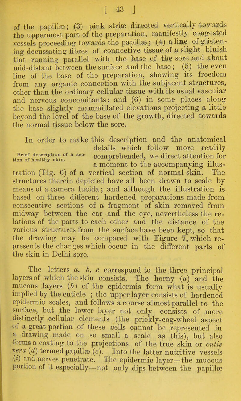 of the papillie; (3) pink striEe directed vertically towards the uppermost part of the preparation, manifestly congested vessels proceeding towards the papillae; (4) aline of glisten- ing decussating fibres of connective tissue of a slight bluish tint running parallel with the base of tlie sore and about mid-distant between the surface and the base; (5) the even line of the base of the preparation, showing its freedom from any organic connection with the subjacent structures, other than the ordinary cellular tissue with its usual vascular and nervous concomitants; and (6) in some places along the base slightly mammillated elevations projecting a little beyond the level of the base of the growth, directed towards the normal tissue below the sore. In order to make this description and the anatomical details which follow more readily Brief description of a sec- comprehended, we direct attention for tion of healthy skin. ■ 11 • • n a moment to the accompanymg illus- tration (Pig. 6) of a vertical section of normal skin. The structures therein depicted have all been drawn to scale by means of a camera lucida; and although the illustration is based on three different hardened preparations made from consecutive sections of a fragment of skin removed from midway between the ear and the eye, nevertheless the re- lations of the parts to each other and the distance of the various structures from the surface have been kept, so that the drawing may be compared with Eigure 7, which re- presents the changes which occur in the different parts of the skin in Delhi sore. The letters a, b, c correspond to the three principal layers of which the skin consists. The horny (a) and the mucous layers (6) of the epidermis form what is usually implied by the cuticle ; the upper layer consists of hardened epidermic scales, and follows a course almost parallel to the surface, but the lower layer not only consists of more distinctly cellular elements (the prickly-cog-wheel aspect of a great portion of these cells cannot'be represented in a drawing made on so small a scale as this), but also forms a coating to the projections of the true skin or ctdis vera {d) termed papillae (c). Into the latter nutritive vessels {i) and nerves penetrate. The epidermic layer—the mucous portion of it especially—not only dips between the papilla3