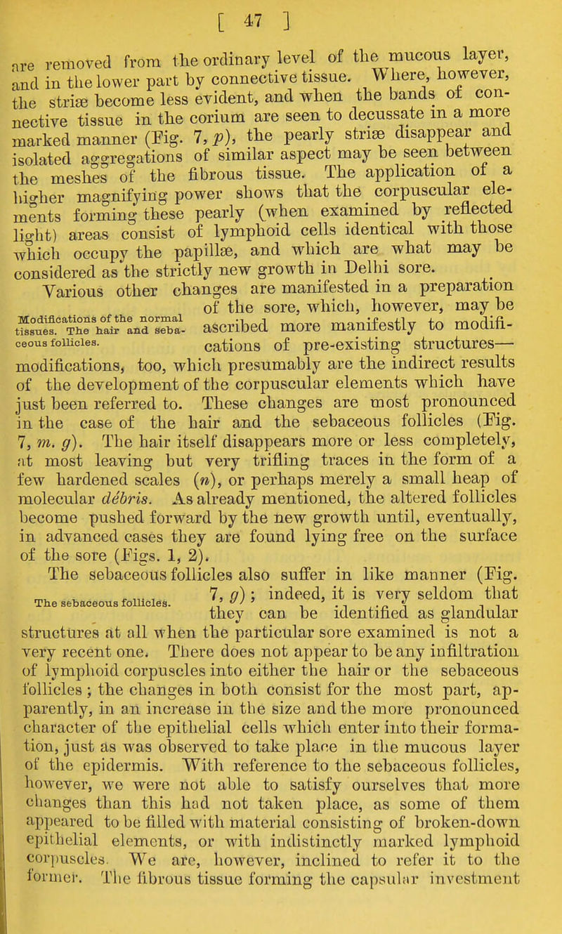 nve removed from the ordinary level of the mucous layer, and in the lower part by connective tissue. Where however, the striEe become less evident, and when the bands ot con- nective tissue in the corium are seen to decussate m a more marked manner (Fig. 7, p), the pearly striae disappear and isolated aggregations of similar aspect may be seen between the meshes of the fibrous tissue. The application ot a hio-her magnifying power shows that the corpuscular ele- ments forming these pearly (when examined by reflected lio-ht) areas consist of lymphoid cells identical with those which occupy the papillse, and which are what may be considered as the strictly new growth in Delhi sore. Various other changes are manifested in a preparation of the sore, which, however, may be SuS° Thrhii'L^LTa. ascribed more manifestly to modifi- ceoua follicles. catious of pre-cxisting structures— modifications, too, which presumably are the indirect results of the development of the corpuscular elements which have just been referred to. These changes are most pronounced in the case of the hair and the sebaceous follicles (Pig. 7, m. g). The hair itself disappears more or less completely, at most leaving but very trifling traces in the form of a few hardened scales {n), or perhaps merely a small heap of molecular debris. As already mentioned, the altered follicles become pushed forward by the new growth until, eventually, in advanced cases they are found lying free on the surface of the sore (i'igs. 1, 2). The sebaceous follicles also suffer in like manner (Fig. The sebaceous follicles. J'd) > indexed, it is Very seldom that they can be identified as glandular structures at all when the particular sore examined is not a very recent one. There does not appear to beany infiltration of lymphoid corpuscles into either the hair or the sebaceous follicles ; the changes in both consist for the most part, ap- parently, in an increase in the size and the more pronounced character of the epithelial cells which enter into their forma- tion, just as was observed to take place in the mucous layer of the epidermis. With reference to the sebaceous follicles, however, we were not able to satisfy ourselves that more changes than this had not taken place, as some of them appeared to be filled with material consisting of broken-down epithelial elements, or with indistinctly marked lymphoid cor|)uscles. We are, however, inclined to refer it to the lormer. The fibrous tissue forming the capsular investment