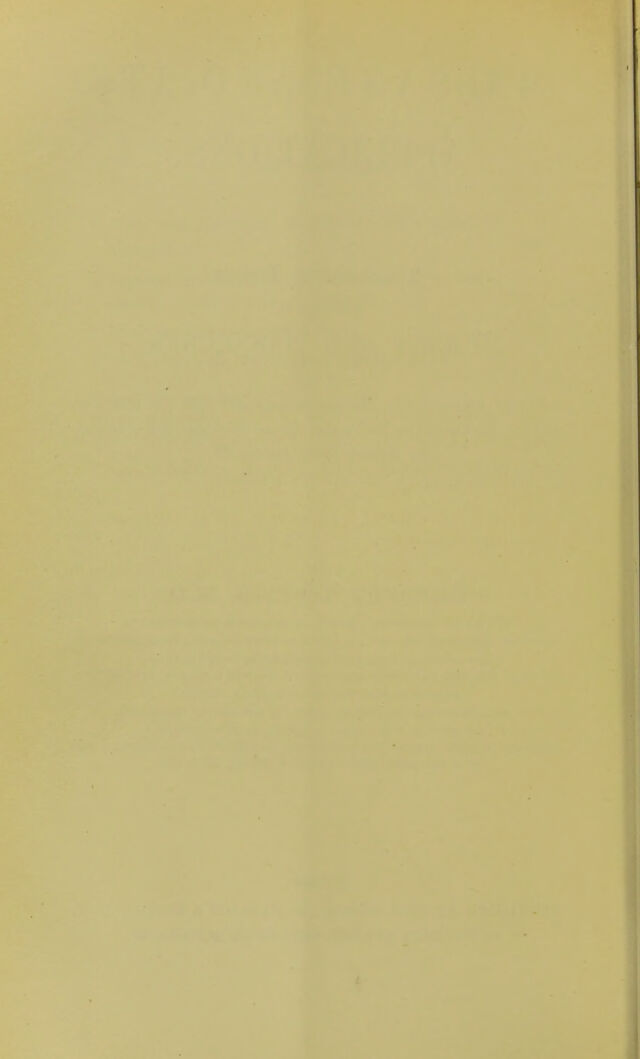 digitised image 2