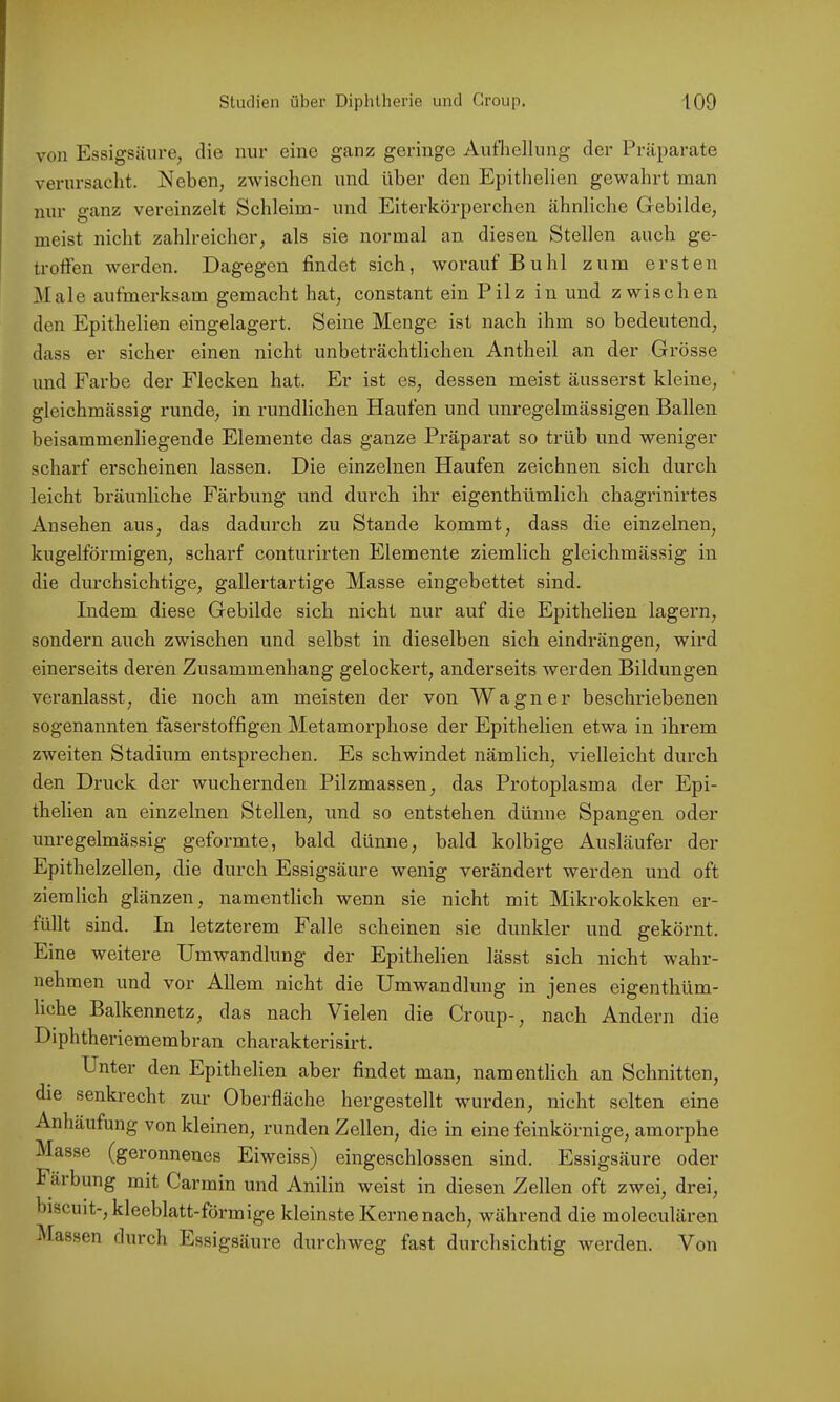 von Essigsäure, die nur eine ganz geringe Aufhellung der Präparate verursacht. Neben, zwischen und über den Epithelien gewahrt man nur ganz vereinzelt Schleim- und Eiterkörperchen ähnliche Gebilde, meist nicht zahlreicher, als sie normal an diesen Stellen auch ge- troffen werden. Dagegen findet sich, worauf Buhl zum ersten Male aufmerksam gemacht hat, constant ein Pilz in und zwischen den Epithelien eingelagert. Seine Menge ist nach ihm so bedeutend, dass er sicher einen nicht unbeträchtlichen Antheil an der Grösse und Farbe der Flecken hat. Er ist es, dessen meist äusserst kleine, gleichmässig runde, in rundlichen Haufen und unregelmässigen Ballen beisammenliegende Elemente das ganze Präparat so trüb und weniger scharf erscheinen lassen. Die einzelnen Haufen zeichnen sich durch leicht bräunliche Färbung und durch ihr eigenthümlich chagrinirtes Ansehen aus, das dadurch zu Stande kommt, dass die einzelnen, kugelförmigen, scharf conturirten Elemente ziemlich gleichmässig in die durchsichtige, gallertartige Masse eingebettet sind. Indem diese Gebilde sich nicht nur auf die Epithelien lagern, sondern auch zwischen und selbst in dieselben sich eindrängen, wird einerseits deren Zusammenhang gelockert, anderseits werden Bildungen veranlasst, die noch am meisten der von Wagner beschriebenen sogenannten faserstoffigen Metamorphose der Epithelien etwa in ihrem zweiten Stadium entsprechen. Es schwindet nämlich, vielleicht durch den Druck der wuchernden Pilzmassen, das Protoplasma der Epi- thelien an einzelnen vStellen, und so entstehen dünne Spangen oder unregelmässig geformte, bald dünne, bald kolbige Ausläufer der Epithelzellen, die durch Essigsäure wenig verändert werden und oft ziemlich glänzen, namentlich wenn sie nicht mit Mikrokokken er- tüllt sind. In letzterem Falle scheinen sie diinkler und gekörnt. Eine weitere Umwandlung der Epithelien lässt sich nicht wahr- nehmen und vor Allem nicht die Umwandlung in jenes eigenthüm- liche Balkennetz, das nach Vielen die Croup-, nach Andern die Diphtheriemembran charakterisirt. Unter den Epithelien aber findet man, namentlich an Schnitten, die senkrecht zur Oberfläche hergestellt wurden, nicht selten eine Anhäufung von kleinen, nmden Zellen, die in eine feinkörnige, amorphe Masse (geronnenes Eiweiss) eingeschlossen sind. Essigsäure oder Fäibung mit Carmin und Anilin weist in diesen Zellen oft zwei, drei, biscuit-, kleeblatt-förmige kleinste Kerne nach, während die moleculären Massen durch Essigsäure durchweg fast durchsichtig werden. Von