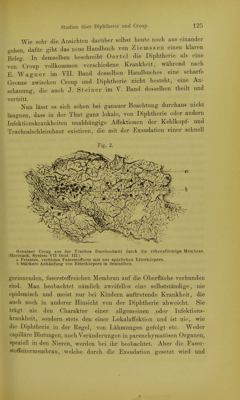 Wie sehr die Ansichten darüber selbst heute noch aus einander gehen, dafür gibt das neue Handbuch von Ziemssen einen klaren Beleg. In demselben beschreibt Oertel die Diphtherie als eine von Croup vollkommen verschiedene Ki'ankheit, während nach E. AVagner im VII. Band desselben Handbuches eine scharfe Grenze zwischen Croup und Diphtherie nicht besteht, eine An- schauung, die auch J. Steiner im V. Band desselben theilt und vertritt. Nun lässt es sich schon bei genauer Beachtung durchaus nicht läugnen, dass in der That ganz lokale, von Diphtherie oder andern Infektionskrankheiten unabhängige Affektionen der Kehlkopf- und Trachealschleimhaut existiren, die mit der Exsudation einer schnell Genuiner Croup aus der Ti-achea Durchschnitt durch die röhrenförmige Membran (Hartnack, System VII Ocul. III.) a Feinstes, verfilztes Faserstoffnetz mit nur spärlichen Eiterkörpern, h Stärkere Anhäufung von Eiterkörpern in demselben. gerinnenden, faserstoffreichen Membran auf die Oberfläche verbunden sind. Man beobachtet nämlich zweifellos eine selbstständige, nie epidemisch uud meist nur bei Kindern auftretende Krankheit, die auch noch in anderer Hinsicht von der Diphtherie abweicht. Sie trägt nie den Charakter einer allgemeinen .oder Infektions- krankheit, sondern stets den einer Lokalaffektion und ist nie, wie die Diphtherie in der Regel, von Lähmungen gefolgt ete. Weder capilläre Blutungen, noch Veränderungen in parenchymatösen Organen, speziell in den Nieren, werden bei ihr beobachtet. Aber die Faser- stoffeitermembran, welche durch die Exsudation gesetzt wird und