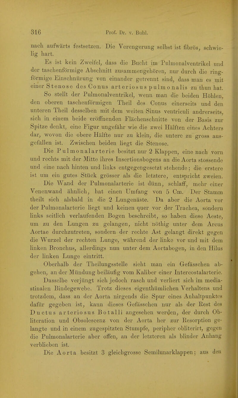 V 316 Prof. Dr. V. Bulil. nach aufwärts festsetzen. Die Verengerung selbst ist fibrös, schwie- lig hart. Ls ist kein Zweifel, dass die Bucht im Pulmonalventrikel und der taschentörmige Abschnitt zusammengehören, nur durch die ring- förmige Einschnürung von einander getrennt sind, dass man es mit einer Stenose des Conus arteriosus pulmo nalis zu thun hat. So stellt der Pulmonalventrikel, wenn man die beiden Höhlen, den oberen taschenförmigen Theil des Conus einerseits und den unteren Theil desselben mit dem weiten Sinus ventriculi andrerseits, sich in einem beide eröffnenden Flächenschnitte von der Basis zur Spitze denkt, eine Figur ungefähr wie die zwei Hälften eines Achters dar, wovon die obere Hälfte nur zu klein, die untere zu gross aus- gefallen ist. Zwischen beiden liegt die Stenose. Die P u 1 monalarterie besitzt nur 2 Klappen, eine nach vorn und rechts mit der Mitte ihres Insertionsbogens an die Aorta stossende und eine nach hinten und links entgegengesetzt stehende; die erstere ist um ein gutes Stück grösser als die letztere, entspricht zweien. Die Wand der Pulmonalarterie ist dünn, schlaff, mehr einer Venenwand ähnlich, hat einen Umfang von 5 Cm. Der Stamm theilt sich alsbald in die 2 Luugenäste. Da aber die Aorta vor der Pulmonalarterie liegt und keinen quer vor der Trachea, sondern links seitlich vei’laufenden Bogen beschreibt, so haben diese Aeste, um zu den Lungen zu gelangen, nicht nöthig unter dem Arcus Aortae durchzutreten, sondern der rechte Ast gelangt direkt gegen die Wurzel der rechten Lunge, während der linke vor und mit dem linken Bronchus, allerdings nun unter dem Aortabogen, in den Hilus der linken Lunge eintritt. Oberhalb der Theilungsstelle sieht man ein Gefässchen ab- gehen, an der Mündung beiläufig vom Kaliber einer Intercostalarterie. Dasselbe verjüngt sich jedoch rasch und verliert sich im media- stinaleu Bindegewebe. Trotz dieses eigenthümlichen Verhaltens und trotzdem, dass au der Aorta nirgends die Spur eines Anhaltpunktes dafür gegeben ist, kann dieses Gefässchen nur als der Rest des Ductus arteriosus Botalli angesehen werden, der durch Ob- literation und Obsolescenz von der Aorta her zur Resorption ge- langte und in einem zugespitzten Stumpfe, peripher obliterirt, gegen die Pulmonalarterie aber offen, an der letzteren als blinder Anhang verblieben ist. Die Aorta besitzt 3 gleichgrosse Semilunarklappen; aus den