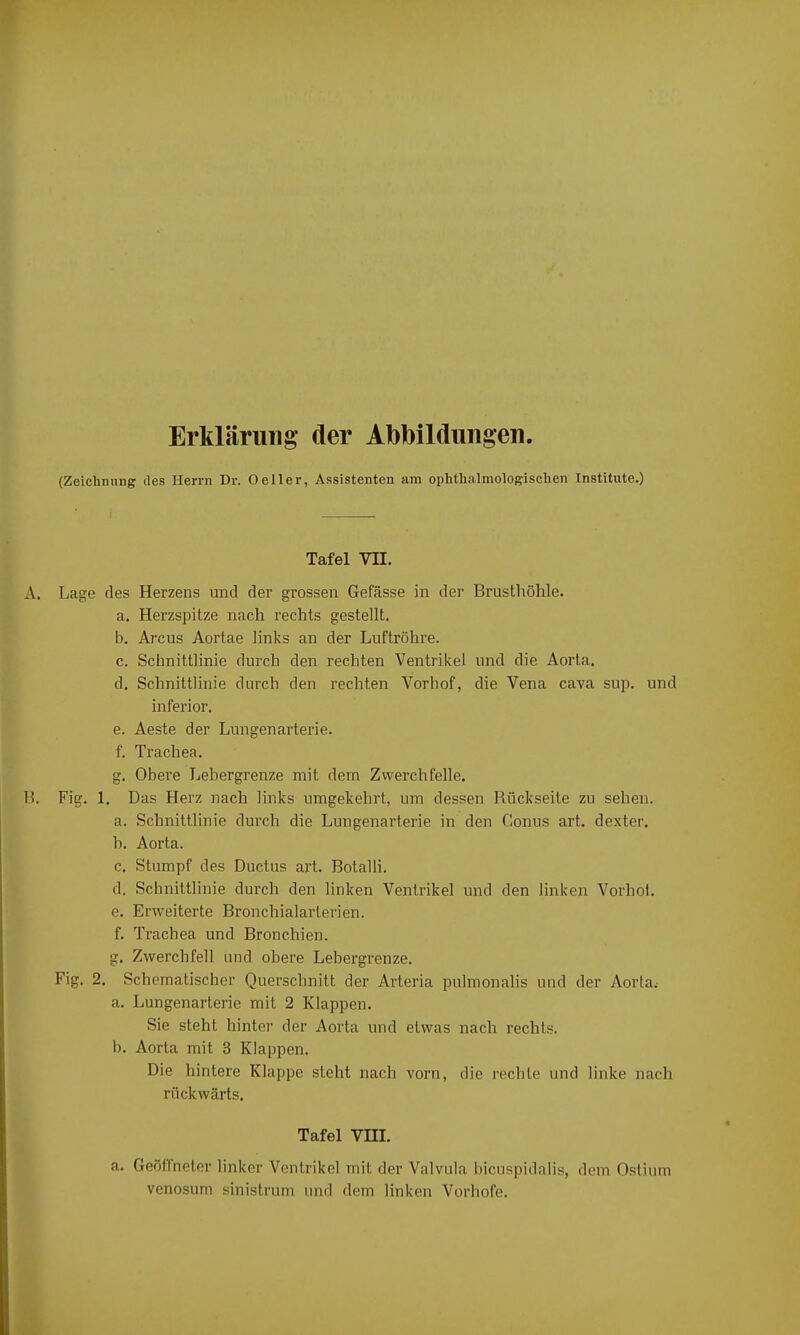 Erklärung der Abbildungen. (Zeichnung des Herrn Dr. Oeller, Assistenten am ophthalmologischen Institute.) Tafel VII. A. Lage des Herzens und der grossen Gefässe in der Brusthöhle. a. Herzspitze nach rechts gestellt. b. Arcus Aortae links an der Luftröhre. c. Schnittlinie durch den rechten Ventrikel und die Aorta. d. Schnittlinie durch den rechten Vorhof, die Vena cava sup. und inferior. e. Aeste der Lungenarterie. f. Trachea. g. Obere Lebergrenze mit dem Zwerchfelle. B. Fig. 1. Das Herz nach links umgekehrt, um dessen Bückseite zu sehen. a. Schnittlinie durch die Lungenarterie in den Conus art. dexter. h. Aorta. c. Stumpf des Ductus art. Botalli. d. Schnittlinie durch den linken Ventrikel und den linken Vorhol. e. Erweiterte Bronchialarterien. f. Ti’achea und Bronchien. g. Zwerchfell und obere Lebergrenze. Fig. 2. Schematischer Querschnitt der Arteria pulmonalis und der Aorta.- a. Lungenarterie mit 2 Klappen. Sie steht hinter der Aorta und etwas nach rechts. b. Aorta mit 3 Klappen. Die hintere Klappe steht nach vorn, die rechte und linke nach rückwärts. Tafel VIII. a. Geöffneter linker Ventrikel mit der Valvula bicuspidalis, dem O.stium venosum sinistrum und dem linken Vorhofe.