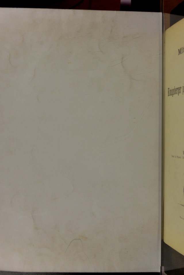 digitised image 2