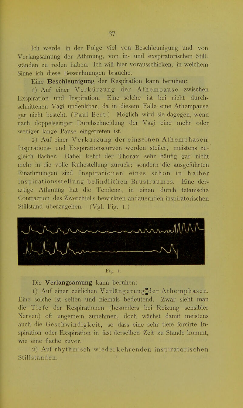 Ich werde in der Folge viel von Beschleunigung und von Verlangsamung der Athmung, von in- und exspiratorischen Still- ständen zu reden haben. Ich will hier vorausschicken, in welchem Sinne ich diese Bezeichnungen brauche. Eine Beschleunigung der Respiration kann beruhen: 1) Auf einer Verkürzung der Athempause zwischen Exspiration und Inspiration. Eine solche ist bei nicht durch- schnittenen Vagi undenkbar, da in diesem Falle eine Athempause gar nicht besteht. (Paul Bert.) Möglich wird sie dagegen, wenn nach doppelseitiger Durchschneidung der Vagi eine mehr oder weniger lange Pause eingetreten ist. 2) Auf einer Verkürzung der einzelnen Athemphasen. Inspirations- und Exspirationscurven werden steiler, meistens zu- gleich flacher. Dabei kehrt der Thorax sehr häufig gar nicht mehr in die volle Ruhestellung zurück; sondern die ausgeführten Einathmungen sind Inspirationen eines schon in halber Inspirationsstellung befindlichen Brustraumes. Eine der- artige Athmung hat die Tendenz, in einen durch tetanische Contraction des Zwerchfells bewirkten andauernden inspiratorischen Stillstand überzugehen. (Vgl. Fig. 1.) Fig. 1. Die Verlangsamung kann beruhen: 1) Auf einer zeitlichen Verlängerung^der Athemphasen. Eine solche ist selten und niemals bedeutend. Zwar sieht man die Tiefe der Respirationen (besonders bei Reizung sensibler Nerven) oft ungemein zunehmen, doch wächst damit meistens auch die Geschwindigkeit, so dass ebie sehr tiefe forcirte In- spiration oder Exspiration in fast derselben Zeit zu Stande kommt, wie eine flache zuvor. 2) Auf rhythmisch wiederkehrenden inspiratorischen Stillständen.