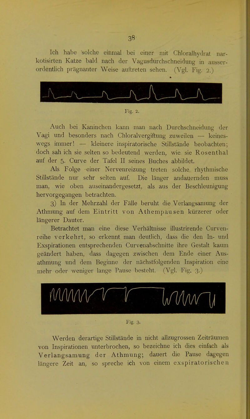 Ich habe 'solche einmal bei einer mit Chloralhydrat nar- kotisirten Katze bald nach der Vagusdurchschneidung in ausser- ordentlich prägnanter Weise auftreten sehen. (Vgl. Fig. 2.) Fig. 2. Auch bei Kaninchen kann man nach Durchschneidunti der Vagi und besonders nach Chloralvergiftung zuweilen — keines- Avegs immer! — kleinere inspiratorische Stillstände beobachten; doch sah ich sie selten so bedeutend werden, wie sie Rosenthal auf der 5. Curve der Tafel II seines Buches abbildet. Als Folge einer Nervenreizung treten solche rhythmische Stillstände nur sehr selten auf. Die länger andauernden muss man, wie oben auseinandergesetzt, als aus der Beschleunigung hervorgegangen betrachten. 3) In der Mehrzahl der Fälle beruht die Verlangsamung der Athmung auf dem Eintritt von Athempausen kürzerer oder längerer Dauter. Betrachtet man eine diese Verhältnisse illustrirende Curven- reihe verkehrt, so erkennt man deutlich, dass die den In- und Exspirationen entsprechenden Curvenabschnitte ihre Gestalt kaum geändert haben, dass dagegen zwischen dem Ende einer Aus- athmung und dem Beginne der nächstfolgenden Inspiration eine mehr oder weniger lange Pause besteht. (Vgl. Fig. 3.) Fig- 3> Werden derartige Stillstände in nicht allzugrossen Zeiträumen von Inspirationen unterbrochen, so bezeichne ich dies einfach als Verlangsamung der Athmung; dauert die Pause d^egen längere Zeit an, so spreche ich von einem exspiratorischen