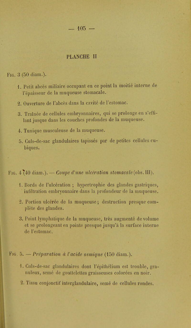— 105 — PLANCHE II FiG. 3 (50 diam.). 1. Petit abcès miliaire occupant en ce point la moitié interne de l'épaisseur de la muqueuse stomacale. 2. Ouverture de l'abcès dans la cavité de l'estomac. 3. Traînée de cellules embryonnaires, qui se prolonge en s'effi- lant jusque dans les couches profondes de la muqueuse. 4. Tunique musculeuse de la muqueuse. 5. Culs-de-sac glandulaires tapissés par de petites cellules cu- biques. FiG. 4^40 diam.). — Coupe cVune ulcération stomacale (obs. III). 1. Bords de l'ulcération ; hypertrophie des glandes gastriques, infiltration embryonnaire dans la profondeur de la muqueuse. 2. Portion ulcérée de la muqueuse ; destruction presque com- plète des glandes. 3. Point lymphatique de la muqueuse, très augmenté de volume et se prolongeant en pointe presque jusqu'à la surface interne de l'estomac. FiG. 5, — Préparation à l'acide osmique (450 diam.). 1. Culs-de-sac glandulaires dont l'épithélium est trouble, gra- nuleux, semé (le gouttelettes graisseuses colorées en noir.