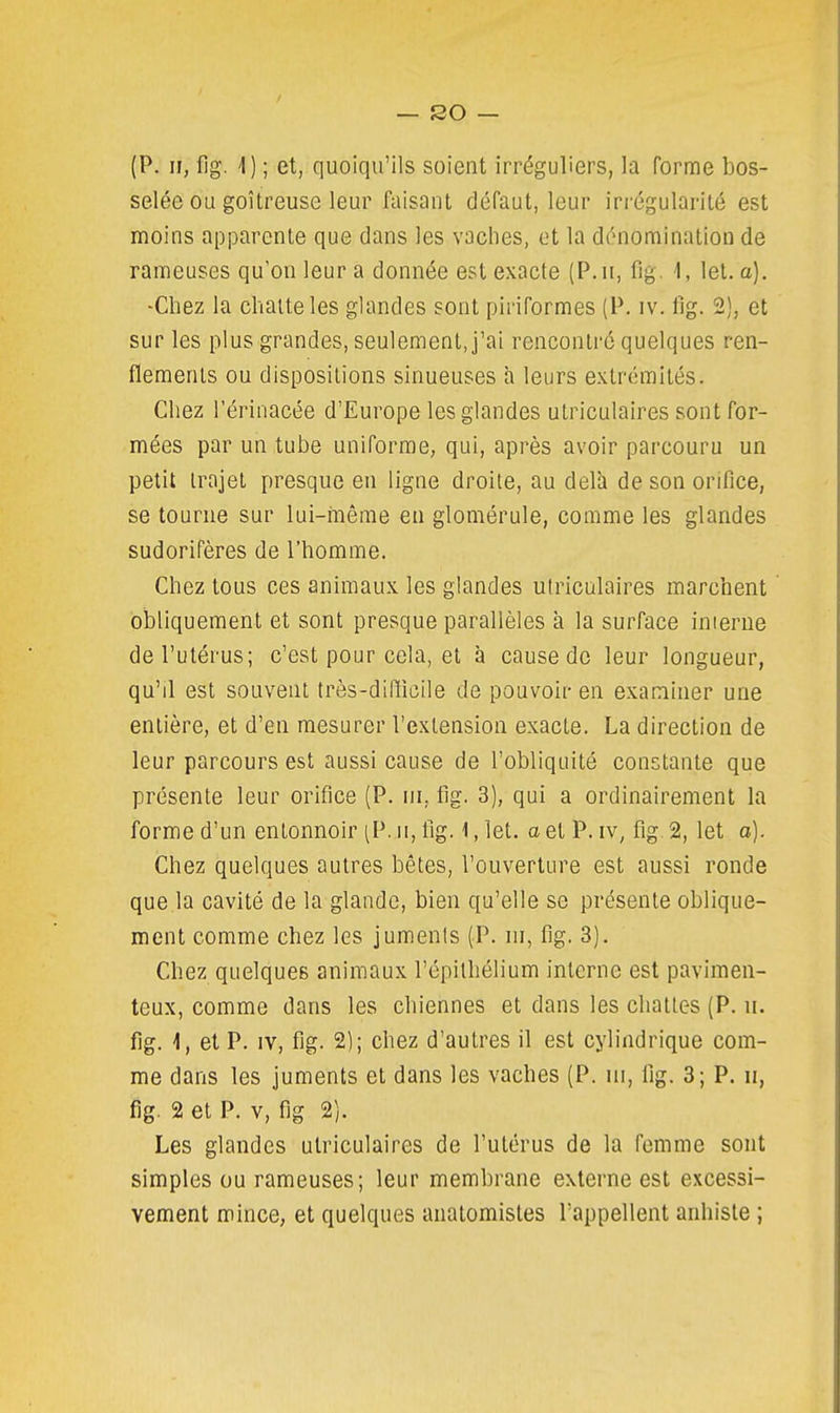 (P. II, fig. 4) ; et, quoiqu'ils soient irréguliers, la forme bos- selée ou goitreuse leur faisant défaut, leur irrégularité est moins apparente que dans les vaches, et la dénomination de rameuses qu'on leur a donnée est exacte (P. ii, fig. 1, let. a). -Chez la chatte les glandes sont piriformes (P. iv. fig. 2), et sur les plus grandes, seulement, j'ai rencontré quelques ren- flements ou dispositions sinueuses h leurs extrémités. Chez l'érinacée d'Europe les glandes ulriculaires sont for- mées par un tube uniforme, qui, après avoir parcouru un petit trajet presque en ligne droite, au delà de son orifice, se tourne sur lui-même en glomérule, comme les glandes sudorifères de l'homme. Chez tous ces animaux les glandes ulriculaires marchent obliquement et sont presque parallèles à la surface inierne de l'utérus; c'est pour cela, et à cause de leur longueur, qu'il est souvent très-difiicile de pouvoir en examiner une entière, et d'en mesurer l'extension exacte. La direction de leur parcours est aussi cause de l'obliquité constante que présente leur orifice (P. in, fig. 3), qui a ordinairement la forme d'un entonnoir (P. ii, fig. 1, let. o et P. iv, fig. 2, let o). Chez quelques autres bêtes, l'ouverture est aussi ronde que.la cavité de la glande, bien qu'elle se présente oblique- ment comme chez les juments (P. m, fig. 3). Chez quelques animaux l'épilhélium interne est pavimen- teux, comme dans les chiennes et dans les chattes (P. ii. fig. 1, et P. IV, fig. 2); chez d'autres il est cylindrique com- me dans les juments et dans les vaches (P. m, fig. 3; P. ii, fig. 2 et P. v, fig 2). Les glandes ulriculaires de l'utérus de la femme sont simples ou rameuses; leur membrane externe est excessi- vement mince, et quelques anatomistes l'appellent anhiste ;