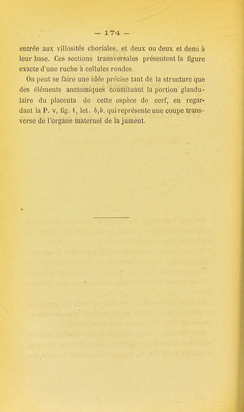 entrée aux villosités choriales, et deux ou deux et demi k leur base. Ces sections transversales présentent la figure exacte d'une ruche k cellules rondes. On peut se faire une idée précise tant de la structure que des éléments anatomiques constituant la portion glandu- laire du placenta de cette espèce de cerf, en regar- dant la P. V, fig. \, let. b,b. qui représente une coupe trans- verse de l'organe maternel de la jument.