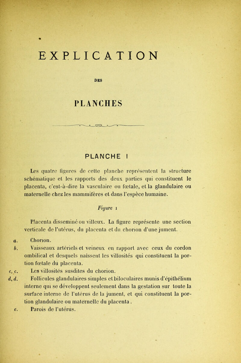 EXPLICATION DES PLANCHES —* csa —- PLANCHE I Les quatre figures de cette planche représentent la structure schématique et les rapports des deux parties qui constituent le placenta, c’est-à-dire la vasculaire ou fœtale, et la glandulaire ou maternelle chez les mammifères et dans l’espèce humaine. Figure i Placenta disséminé ou villeux. La figure représente une section verticale de l’utérus, du placenta et du chonon d’une jument. a. Chonon. b. Vaisseaux artériels et veineux en rapport avec ceux du cordon ombilical et desquels naissent les villosités qui constituent la por- tion fœtale du placenta. c, c. Les villosités susdites du chorion. d, d. Follicules glandulaires simples etbiloculaires munis d’épithélium interne qui se développent seulement dans la gestation sur toute la surface interne de l’utérus de la jument, et qui constituent la por- tion glandulaire ou maternelle du placenta. Parois de l’utérus. e.