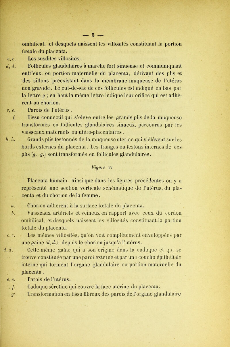 ombilical, et desquels naissent les villosités constituant la portion fœtale du placenta. c, c. Les susdites villosités. il, d. Follicules glaudulaires à marche fort sinueuse et communiquant entr’eux, ou portion maternelle du placenta, dérivant des plis et des sillons préexistant dans la membrane muqueuse de l’utérus non gravide. Le cul-de-sac de ces follicules est indiqué en bas par- la lettre g ; en haut la même lettre indique leur orifice qui est adhè- rent au chorion. e, e. Parois de l’utérus . f. Tissu connectif qui s’élève entre les grands plis de la muqueuse transformés en follicules glandulaires sinueux, parcourus par les vaisseaux maternels ou utéro-placentaires. h. h. Grands plis festonnés de la muqueuse utérine qui s’élèvent sur les bords externes du placenta. Les franges ou festons internes de ces plis (g. g.) sont transformés en follicules glandulaires. Figure îv Placenta humain. Ainsi que dans les figures précédentes on y a représenté une section verticale schématique de l’utérus, du pla- centa et du chorion de la femme. a. Chorion adhèrent à la surface fœtale du placenta. b. Vaisseaux artériels et veineux en rapport avec ceux du cordon ombilical, et desquels naissent les villosités constituant la portion fœtale du placenta. c. c. Les mômes villosités, qu’on voit complètement enveloppées par une gaine (d, d.J, depuis le chorion jusqu’à l’utérus. d, d. Cette même gaine qui a son origine dans la caduque et qui se trouve constituée par une paroi externe etpar une couche épithéliale interne qui forment l’organe glandulaire ou portion maternelle du placenta. e,e. Parois de l’utérus. /. Caduque sérotine qui couvre la face utérine du placenta. g• Transformation en tissu fibreux des parois de l’organe glandulaire