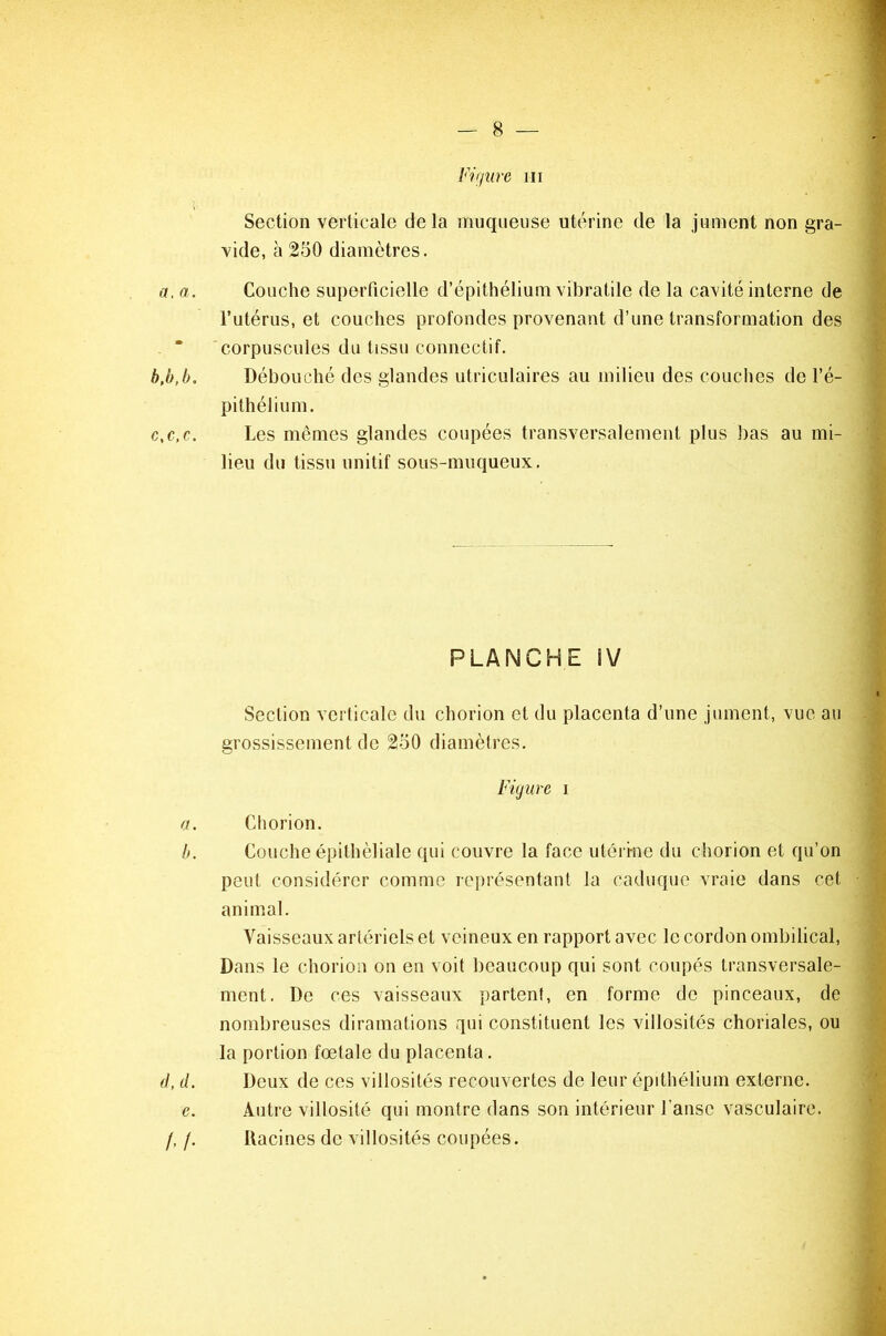 Figure ni Section verticale delà muqueuse utérine de la jument non gra- vide, à 250 diamètres. a, a. Couche superficielle d’épithélium vibratile de la cavité interne de l’utérus, et couches profondes provenant d’une transformation des corpuscules du tissu connectif. b, b,b. Débouché des glandes utriculaires au milieu des couches de l’é- pithélium. c. c.c. Les mêmes glandes coupées transversalement plus bas au mi- lieu du tissu unitif sous-muqueux. PLANCHE iV Section verticale du chorion et du placenta d’une jument, vue au grossissement de 250 diamètres. Figure i a. Chorion. b. Couche épithéliale qui couvre la face utérine du chorion et qu’on peut considérer comme représentant la caduque vraie dans cet animal. Vaisseaux artériels et veineux en rapport avec le cordon ombilical, Dans le chorion on en voit beaucoup qui sont coupés transversale- ment. De ces vaisseaux partent, en forme de pinceaux, de nombreuses diramations qui constituent les villosités choriales, ou la portion foetale du placenta. d, d. Deux de ces villosités recouvertes de leur épithélium externe. e. Autre villosité qui montre dans son intérieur l’anse vasculaire. /, /. Racines de villosités coupées.