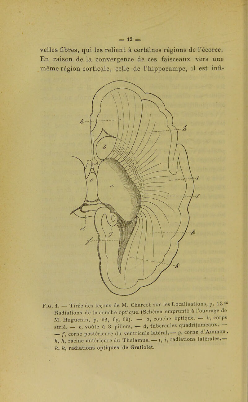 velles libres, qui les relient à certaines régions de l'écorce. En raison de la convergence de ces faisceaux vers une même région corticale, celle de l'hippocampe, il est infi- FiG. 1. — Tirée des leçons de M. Charcot sur les Localisalioiis, p. 13 Radiations de la couche optique. (Schéma emprunté à l'ouvrage de M. Huguenin, p. 93, fig, 69). — «, couche optique. — b, corps strié. — c, voûte à 3 piliers. — d, tubercules quadrijumeaux. — — f, corne postérieure du ventricule latéral. — g, corne d'Ammon. h, h, racine antérieure du Thalamus. — i, i, radiations latérales.— k, k, radiations optiques de Grafiolet.