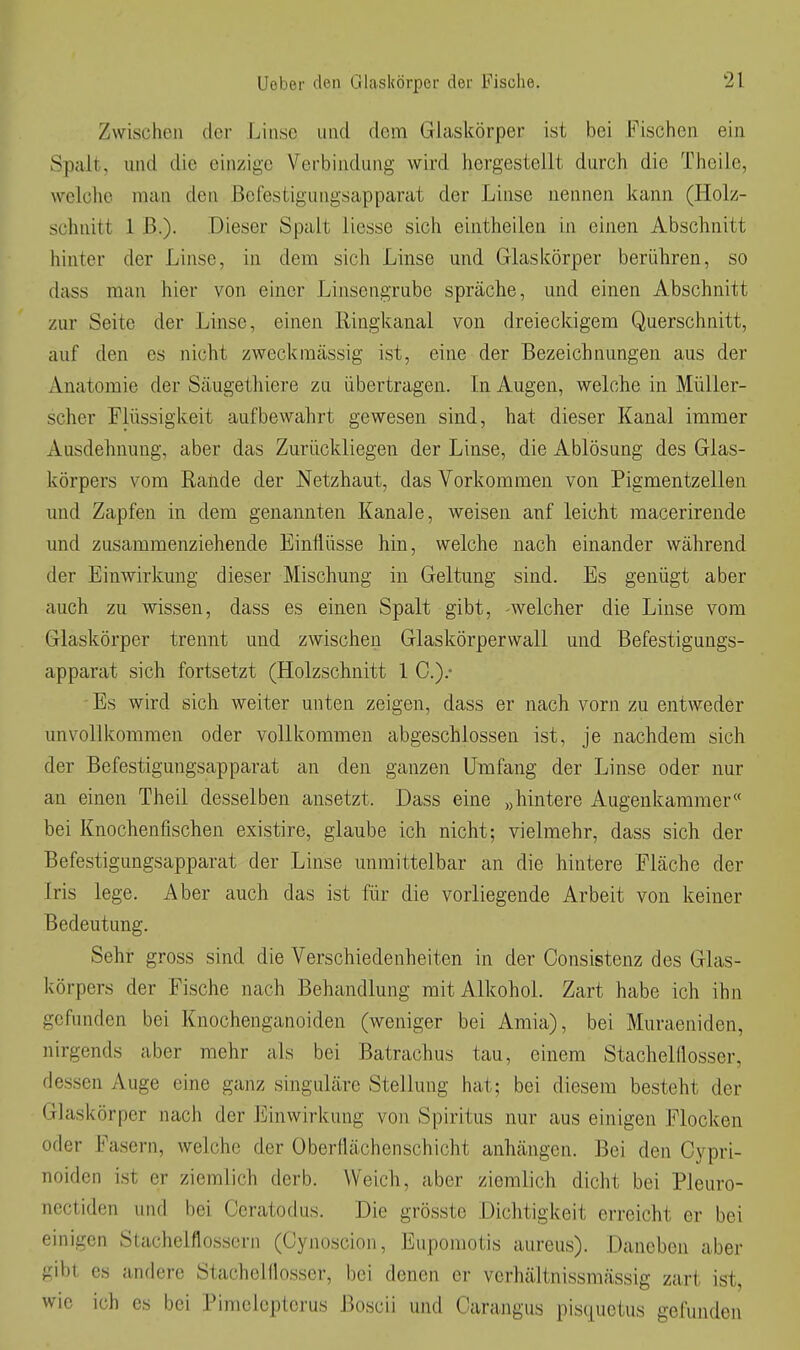 Zwischen der Linse und dem Glaskörper ist bei Fischen ein Spalt, und die einzige Verbindung wird hergestellt durch die Theilc, welche man den Befestigungsapparat der Linse nennen kann (Holz- schnitt 1 B.). Dieser Spalt liesse sich eintheilen in einen Abschnitt hinter der Linse, in dem sich Linse und Glaskörper berühren, so dass man hier von einer Linsengrube spräche, und einen Abschnitt zur Seite der Linse, einen Ringkanal von dreieckigem Querschnitt, auf den es nicht zweckmässig ist, eine der Bezeichnungen aus der Anatomie der Säugethiere zu übertragen. In Augen, welche in Müller- scher Flüssigkeit aufbewahrt gewesen sind, hat dieser Kanal immer Ausdehnung, aber das Zurückliegen der Linse, die Ablösung des Glas- körpers vom Rande der Netzhaut, das Vorkommen von Pigmentzellen und Zapfen in dem genannten Kanäle, weisen auf leicht macerirende und zusammenziehende Einflüsse hin, welche nach einander während der Einwirkung dieser Mischung in Geltung sind. Es genügt aber auch zu wissen, dass es einen Spalt gibt, -welcher die Linse vom Glaskörper trennt und zwischen Glaskörperwall und Befestigungs- apparat sich fortsetzt (Holzschnitt 1 0.).- Es wird sich weiter unten zeigen, dass er nach vorn zu entweder unvollkommen oder vollkommen abgeschlossen ist, je nachdem sich der Befestigungsapparat an den ganzen Umfang der Linse oder nur an einen Theil desselben ansetzt. Dass eine „hintere Augenkaramer« bei Knochenfischen existire, glaube ich nicht; vielmehr, dass sich der Befestigungsapparat der Linse unmittelbar an die hintere Fläche der Iris lege. Aber auch das ist für die vorliegende Arbeit von keiner Bedeutung. Sehr gross sind die Verschiedenheiten in der Oonsistenz des Glas- körpers der Fische nach Behandlung mit Alkohol. Zart habe ich ihn gefunden bei Knochenganoiden (weniger bei Amia), bei Muraeniden, nirgends aber mehr als bei Batrachus tau, einem Stachelflosser, dessen Auge eine ganz singulare Stellung hat; bei diesem besteht der Glaskörper nach der Einwirkung von Spiritus nur aus einigen Flocken oder Fasern, welche der Oberfiächenschicht anhängen. Bei den Cypri- noiden ist er ziemlich derb. Weich, aber ziemlich dicht bei Pleuro- nectiden und bei Ceratodus. Die grösste Dichtigkeit erreicht er bei einigen Stachelflossern (Cynoscion, Eupomotis aureus). Daneben aber gibt es andere Stachelflosser, bei denen er verhältnissmässig zart ist, wie ich es bei Pimclepterus Boscii und Carangus pisquetus gefunden