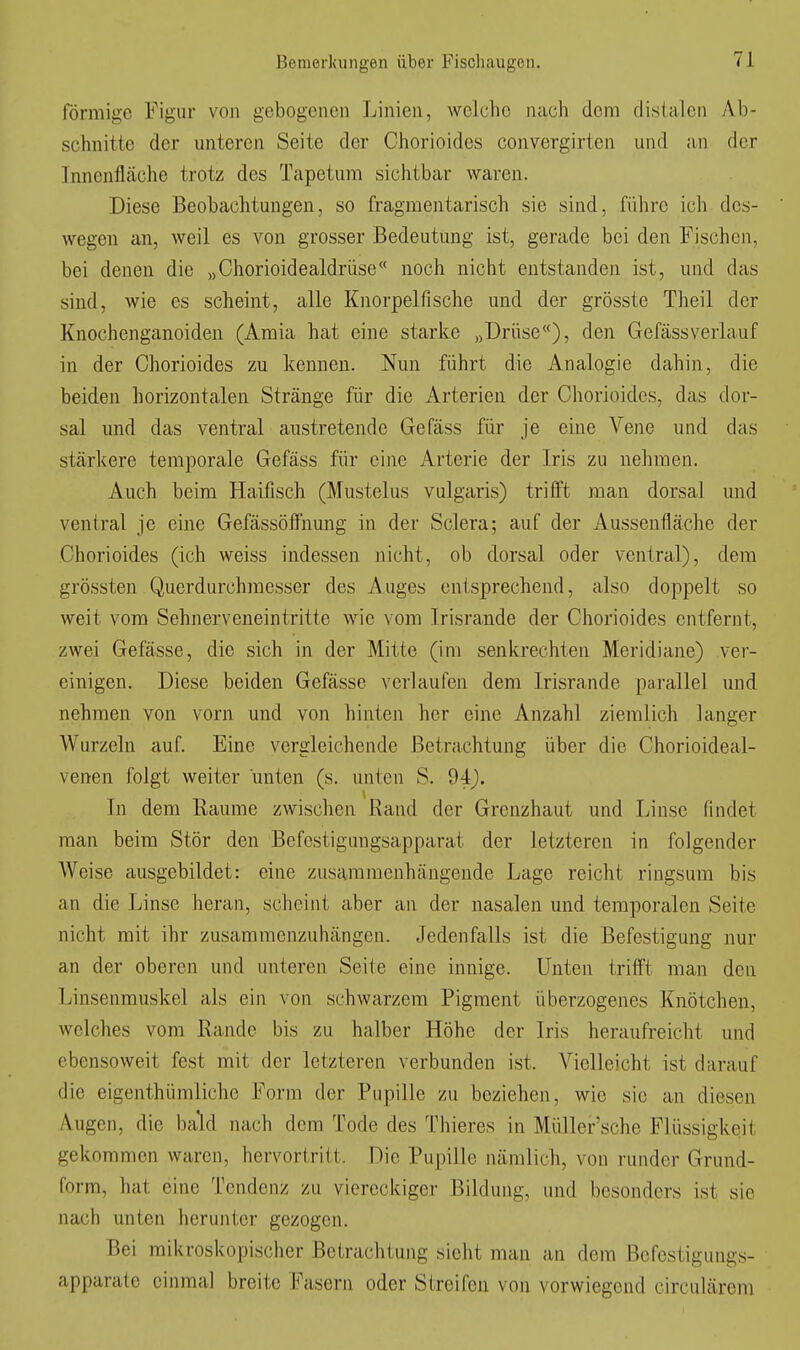 förmige Figur von gebogenen Linien, welche nach dem distalen Ab- schnitte der unteren Seite der Ohorioidcs convergirten und an der Innenfläche trotz des Tapetum sichtbar waren. Diese Beobachtungen, so fragmentarisch sie sind, führe ich des- wegen an, weil es von grosser Bedeutung ist, gerade bei den Fischen, bei denen die „Chorioidealdrüse noch nicht entstanden ist, und das sind, wie es scheint, alle Knorpelfische und der grösste Theil der Knochenganoiden (Amia hat eine starke „Drüse«), den Gefässverlauf in der Chorioides zu kennen. Nun führt die Analogie dahin, die beiden horizontalen Stränge für die Arterien der Chorioides, das dor- sal und das ventral austretende Gefäss für je eine Vene und das stärkere temporale Gefäss für eine Arterie der Iris zu nehmen. Auch beim Haifisch (Mustelus vulgaris) trifft man dorsal und ventral je eine Gefässöffnung in der Sclera; auf der Aussenflächc der Chorioides (ich weiss indessen nicht, ob dorsal oder ventral), dem grössten Querdurchraesser des Auges entsprechend, also doppelt so weit vom Sehnerveneintritte wie vom Irisrande der Chorioides entfernt, zwei Gefässe, die sich in der Mitte (im senkrechten Meridiane) ver- einigen. Diese beiden Gefässe verlaufen dem Irisrande parallel und nehmen von vorn und von hinten her eine Anzahl ziemlich langer Wurzeln auf. Eine vergleichende Betrachtung über die Chorioideal- venen folgt weiter unten (s. unten S. 94J). In dem Räume zwischen Rand der Grenzhaut und Linse findet man beim Stör den Befestigungsapparat der letzteren in folgender Weise ausgebildet: eine zusammenhängende Lage reicht ringsum bis an die Linse heran, scheint aber an der nasalen und temporalen Seite nicht mit ihr zusammenzuhängen. Jedenfalls ist die Befestigung nur an der oberen und unteren Seite eine innige. Unten trifft man den Linsenmuskel als ein von schwarzem Pigment überzogenes Knötchen, welches vom Rande bis zu halber Höhe der Iris heraufreicht und ebensoweit fest mit der letzteren verbunden ist. Vielleicht ist darauf die eigenthümliche Form der Pupille zu beziehen, wie sie an diesen Augen, die bald nach dem Tode des Thieres in Müller'sche Flüssigkeit gekommen waren, hervortrii t. Die Pupille nämlich, von runder Grund- form, hat eine Tendenz zu viereckiger Bildung, und besonders ist sie nach unten herunter gezogen. Bei miivroskopischer Betrachtung sieht man an dem Befestigungs- apparate einmal breite Fasern oder Streifen von vorwiegend circulärem