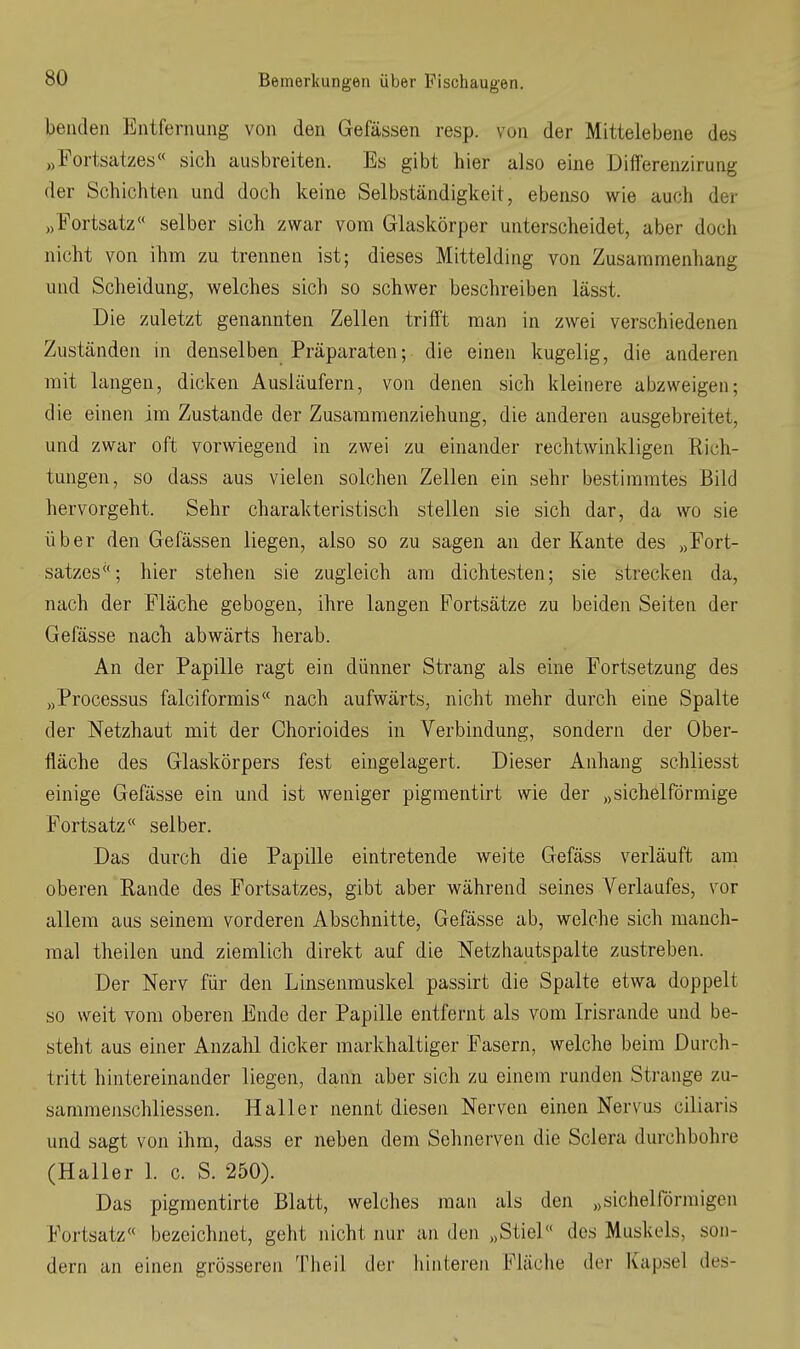 benden Entfernung von den Gefässen resp. von der Mittelebene des »Fortsatzes« sich ausbreiten. Es gibt hier also eine Differenzirung der Schichten und doch keine Selbständigkeit, ebenso wie auch der „Fortsatz« selber sich zwar vom Glaskörper unterscheidet, aber doch nicht von ihm zu trennen ist; dieses Mittelding von Zusammenhang und Scheidung, welches sich so schwer beschreiben lässt. Die zuletzt genannten Zellen trifft man in zwei verschiedenen Zuständen in denselben Präparaten; die einen kugelig, die anderen mit langen, dicken Ausläufern, von denen sich kleinere abzweigen; die einen im Zustande der Zusammenziehung, die anderen ausgebreitet, und zwar oft vorwiegend in zwei zu einander rechtwinkligen Rich- tungen, so dass aus vielen solchen Zellen ein sehr bestimmtes Bild hervorgeht. Sehr charakteristisch stellen sie sich dar, da wo sie über den Gefässen liegen, also so zu sagen an der Kante des „Fort- satzes; hier stehen sie zugleich am dichtesten; sie strecken da, nach der Fläche gebogen, ihre langen Fortsätze zu beiden Seiten der Gefässe nach abwärts herab. An der Papille ragt ein dünner Strang als eine Fortsetzung des „Processus falciformis« nach aufwärts, nicht mehr durch eine Spalte der Netzhaut mit der Ohorioides in Verbindung, sondern der Ober- fläche des Glaskörpers fest eingelagert. Dieser Anhang schliesst einige Gefässe ein und ist weniger pigmentirt wie der „sichelförmige Fortsatz« selber. Das durch die Papille eintretende weite Gefäss verläuft am oberen Rande des Fortsatzes, gibt aber während seines Verlaufes, vor allem aus seinem vorderen Abschnitte, Gefässe ab, welche sich manch- mal theilen und ziemlich direkt auf die Netzhautspalte zustreben. Der Nerv für den Linsenmuskel passirt die Spalte etwa doppelt so weit vom oberen Ende der Papille entfernt als vom Irisrande und be- steht aus einer Anzahl dicker markhaltiger Fasern, welche beim Durch- tritt hintereinander liegen, dann aber sich zu einem runden Strange zu- sammenschliessen. Hall er nennt diesen Nerven einen Nervus ciliaris und sagt von ihm, dass er neben dem Sehnerven die Sclera durchbohre (Haller 1. c. S. 250). Das pigmentirte Blatt, welches man als den „sichelförmigen Fortsatz« bezeichnet, geht nicht nur an den „Stiel des Muskels, son- dern an einen grösseren Tlieil der hinteren Fläche der Kapsel des-