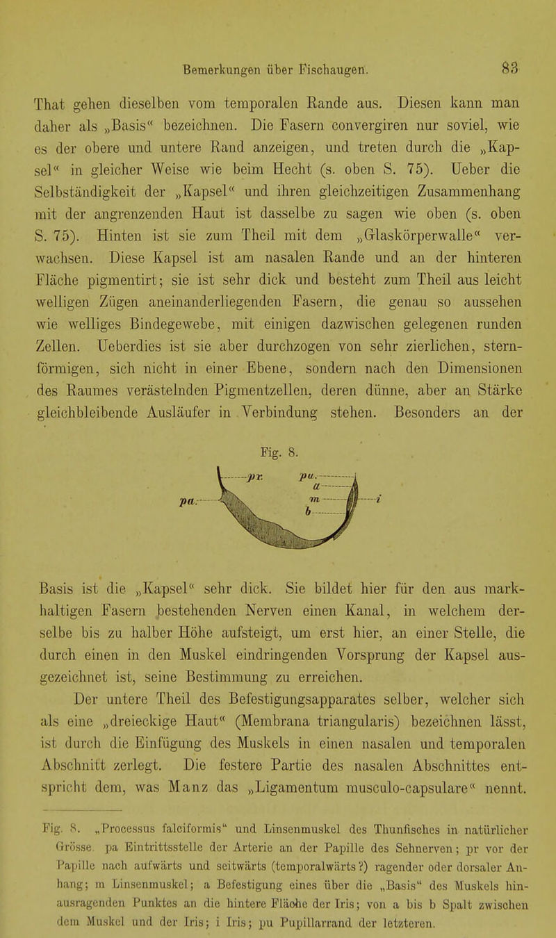 That gehen dieselben vom temporalen Rande aus. Diesen kann man daher als „Basis bezeichnen. Die Fasern convergiren nur soviel, wie es der obere und untere Rand anzeigen, und treten durch die „Kap- sel in gleicher Weise wie beim Hecht (s. oben S. 75). Ueber die Selbständigkeit der „Kapsel und ihren gleichzeitigen Zusammenhang mit der angrenzenden Haut ist dasselbe zu sagen wie oben (s. oben S. 75). Hinten ist sie zum Theil mit dem „Glaskörperwalle ver- wachsen. Diese Kapsel ist am nasalen Rande und an der hinteren Fläche pigmentirt; sie ist sehr dick und besteht zum Theil aus leicht welligen Zügen aneinanderliegenden Fasern, die genau so aussehen wie welliges Bindegewebe, mit einigen dazwischen gelegenen runden Zellen. Ueberdies ist sie aber durchzogen von sehr zierlichen, stern- förmigen, sich nicht in einer Ebene, sondern nach den Dimensionen des Raumes verästelnden Pigmentzellen, deren dünne, aber an Stärke gleichbleibende Ausläufer in Verbindung stehen. Besonders an der Fig. 8. Basis ist die „Kapsel sehr dick. Sie bildet hier für den aus mark- haltigen Fasern bestehenden Nerven einen Kanal, in welchem der- selbe bis zu halber Höhe aufsteigt, um erst hier, an einer Stelle, die durch einen in den Muskel eindringenden Vorsprung der Kapsel aus- gezeichnet ist, seine Bestimmung zu erreichen. Der untere Theil des Befestigungsapparates selber, welcher sich als eine „dreieckige Haut (Membrana triangularis) bezeichnen lässt, ist durch die Einfügung des Muskels in einen nasalen und temporalen Abschnitt zerlegt. Die festere Partie des nasalen Abschnittes ent- spricht dorn, was Manz das „Ligamentum musculo-capsulare nennt. Fig. S. „Processus falciformis und Linsenmuskel des Tliunfisches in natürlicher Grösse, pa Eintrittsstelle der Arterie an der Papille des Sehnerven; pr vor der Papille nach aufwärts und seitwärts (temporalwärts V) ragender oder dorsaler An- hang; m Linsenmuskel; a Befestigung eines über die „Basis des Muskels hin- ausragenden Punktes an die hintere Fläolie der Iris; von a bis b Spalt zwischen dem Muskel und der Iris; i Iris; pu Pupillarrand der letzteren.