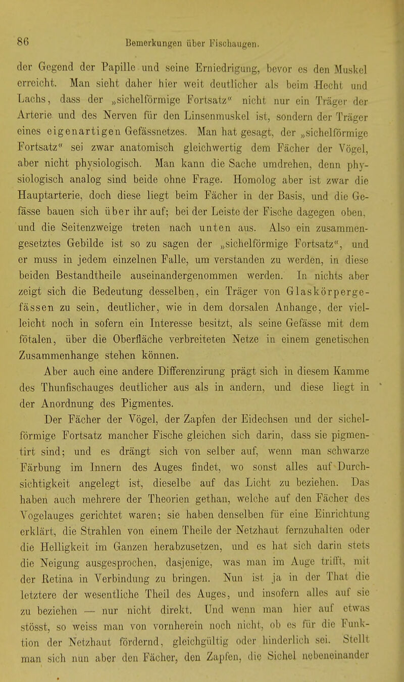 der Gegend der Papille und seine Erniedrigung, bevor es den Muskel erreicht. Man sieht daher hier weit deutlicher als beim -Hecht und Lachs, dass der „sichelförmige Fortsatz« nicht nur ein Träger der Arterie und des Nerven für den Linsenmuskel ist, sondern der Träger eines eigenartigen Gefässnetzes. Man hat gesagt, der „sichelförmige Fortsatz sei zwar anatomisch gleichwertig dem Fächer der Vögel, aber nicht physiologisch. Man kann die Sache umdrehen, denn ph}-^- siologisch analog sind beide ohne Frage. Homolog aber ist zwar die Hauptarterie, doch diese liegt beim Fächer in der Basis, und die Ge- fässe bauen sich über ihr auf; bei der Leiste der Fische dagegen oben, und die Seitenzweige treten nach unten aus. Also ein zusammen- gesetztes Gebilde ist so zu sagen der „sichelförmige Fortsatz«, und er muss in jedem einzelnen Falle, um verstanden zu werden, in diese beiden Bestandtheile auseinandergenommen werden. In nichts aber zeigt sich die Bedeutung desselben, ein Träger von Glaskörperge- fässen zu sein, deutlicher, wie in dem dorsalen Anhange, der viel- leicht noch in sofern ein Interesse besitzt, als seine Ge fasse mit dem fötalen, über die Oberfläche verbreiteten Netze in einem genetischen Zusammenhange stehen können. Aber auch eine andere Differenzirung prägt sich in diesem Kamme des Thunfischauges deutlicher aus als in andern, und diese liegt in der Anordnung des Pigmentes. Der Fächer der Vögel, der Zapfen der Eidechsen und der sichel- förmige Fortsatz mancher Fische gleichen sich darin, dass sie pigmen- tirt sind; und es drängt sich von selber auf, wenn man schwarze Färbung im Innern des Auges findet, wo sonst alles auf Durch- sichtigkeit angelegt ist, dieselbe auf das Licht zu beziehen. Das haben auch mehrere der Theorien gethan, welche auf den Fächer des Vogelauges gerichtet waren; sie haben denselben für eine Einrichtung erklärt, die Strahlen von einem Theile der Netzhaut fernzuhalten oder die Helligkeit im Ganzen herabzusetzen, und es hat sich darin stets die Neigung ausgesprochen, dasjenige, was man im Auge trifft, mit der Retina in Verbindung zu bringen. Nun ist ja in der That die letztere der wesentliche Theil des Auges, und insofern alles auf sie zu beziehen — nur nicht direkt. Und wenn man hier auf etwas stösst, so weiss man von vornherein noch nicht, ob es für die Funk- tion der Netzhaut fördernd, gleichgültig oder hinderlicli sei. Stellt man sich nun aber den Fächer, den Zapfen, die Sichel nebeneinander