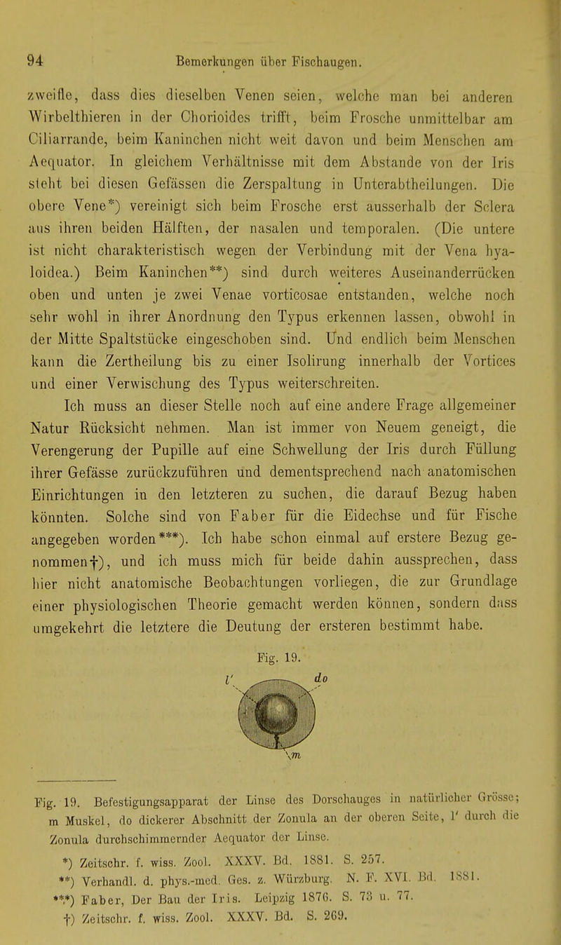 zweifle, dass dies dieselben Venen seien, welche man bei anderen Wirbelthieren in der Chorioides trifft, beim Frosche unmittelbar am Ciliarrande, beim Kaninchen nicht weit davon und beim Menschen am Aequator. In gleichem Verhältnisse mit dem Abstände von der Iris sieht bei diesen Gefässen die Zerspaltung in Unterabtheilungen. Die obere Vene*) vereinigt sich beim Frosche erst ausserhalb der Sclera aus ihren beiden Hälften, der nasalen und temporalen. (Die untere ist nicht charakteristisch wegen der Verbindung mit der Vena hya- loidea.) Beim Kaninchen**) sind durch weiteres Auseinanderrücken oben und unten je zwei Venae vorticosae entstanden, welche noch sehr wohl in ihrer Anordnung den Typus erkennen lassen, obwohl in der Mitte Spaltstücke eingeschoben sind. Und endlich beim Menschen kann die Zertheilung bis zu einer Isolirung innerhalb der Vortices und einer Verwischung des Typus weiterschreiten. Ich muss an dieser Stelle noch auf eine andere Frage allgemeiner Natur Rücksicht nehmen. Man ist immer von Neuem geneigt, die Verengerung der Pupille auf eine Schwellung der Iris durch Füllung ihrer Gefässe zurückzuführen und dementsprechend nach anatomischen Einrichtungen in den letzteren zu suchen, die darauf Bezug haben könnten. Solche sind von Faber für die Eidechse und für Fische angegeben worden***). Ich habe schon einmal auf erstere Bezug ge- nommenf), und ich muss mich für beide dahin aussprechen, dass liier nicht anatomische Beobachtungen vorliegen, die zur Grundlage einer physiologischen Theorie gemacht werden können, sondern dass umgekehrt die letztere die Deutung der ersteren bestimmt habe. Fig. 19. Fig. 19. Befestigungsapparat der Linse des Dorschauges in natürlicher Grösse; m Muskel, do dickerer Abschnitt der Zonula an der oberen Seite, 1' durcli die Zonula durchschimmernder Aequator der Linse. *) Zeitschr. f. wiss. Zool. XXXV. Bd. 1881. S. 257. **) Verhandl. d. phys.-med. Ges. z. Würzburg. N. F. XVI. Bd. 1S81. ♦*.*) Faber, Der Bau der Iris. Leipzig 1876. S. 73 u. 77. t) Zeitschr. f. wiss. Zool. XXXV. Bd. S. 2G9.