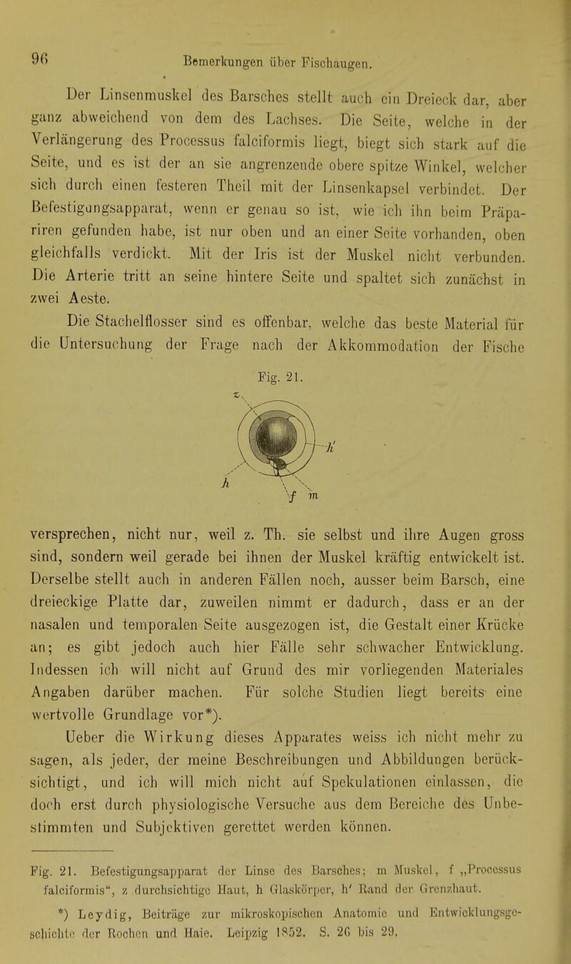 Der Linsenmuskel des Barsches stellt auch ein Dreieck dar, aber ganz abweichend von dem des Lachses. Die Seite, welche in der Verlängerung des Processus falciformis liegt, biegt sich stark auf die Seite, und es ist der an sie angrenzende obere spitze Winkel, welcher sich durch einen festeren Theil mit der Linsenkapsel verbindet. Der ßefestigungsapparat, wenn er genau so ist, wie ich ihn beim Präpa- riren gefunden habe, ist nur oben und an einer Seite vorhanden, oben gleichfalls verdickt. Mit der Iris ist der Muskel niclit verbunden. Die Arterie tritt an seine hintere Seite und spaltet sich zunächst in zwei Aeste. Die Stachelflosser sind es offenbar, welche das beste Material für die Untersuchung der Frage nach der Akkommodation der Fische Fig. 21. '/ in versprechen, nicht nur, weil z. Th. sie selbst und ihre Augen gross sind, sondern weil gerade bei ihnen der Muskel kräftig entwickelt ist. Derselbe stellt auch in anderen Fällen noch, ausser beim Barsch, eine dreieckige Platte dar, zuweilen nimmt er dadurch, dass er an der nasalen und temporalen Seite ausgezogen ist, die Gestalt einer Krücke an; es gibt jedoch auch hier Fälle sehr schwacher Entwicklung. Indessen ich will nicht auf Grund des mir vorliegenden Materiales Angaben darüber machen. Für solche Studien liegt bereits eine wertvolle Grundlage vor*). lieber die Wirkung dieses Apparates weiss ich nicht mehr zu sagen, als jeder, der raeine Beschreibungen und Abbildungen berück- sichtigt, und ich will mich nicht auf Spekulationen einlassen, die doch erst durch physiologische Versuche aus dem Bereiche des Unbe- stimmten und Subjektiven gerettet werden können. Fig. 21. Befestignngsapparat der Linse des Barsches; m Muskel, f „Processus falciformis, 7. durchsichtige Haut, h Glaskörper, h' Rand der Drenzhaut. *) Leydig, Beiträge zur mikroskopischen Anatomie und Entwicklungsge-