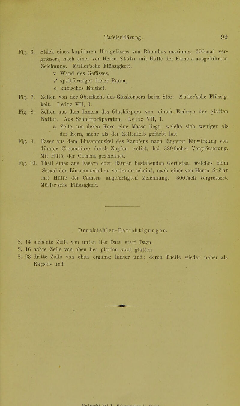 Fig. 6. Stück eines kapillaren Blutgefässes von Rhombus maximus, 300mal ver- grössert, nach einer von Herrn Stöhr mit Hülfe der Kamera ausgeführten Zeichnung. Müller'sche Flüssigkeit. V Wand des Gefässes, v' spaltförmiger freier Raum, e kubisches Epithel. Fig. 7. Zellen von der Oberfläche des Glaskörpers beim Stör. Müller'sche Flüssig- keit. Leitz VII, 1. Fig. 8. Zellen aus dem Innern des Glaskörpers von einem Embryo der glatten Natter. Aus Schnittpräparaten. Leitz VII, 1. a. Zelle, um deren Kern eine Masse liegt, welche sich weniger als der Kern, mehr als der Zellenleib gefärbt hat Fig. y. Faser aus dem Linsenmuskel des Karpfens nach längerer Einwirkung von dünner Chromsäure durch Zupfen isolirt, bei 380facher Vergrösserung. Mit Hülfe der Camera gezeichnet. Fig. 10. Theil eines aus Fasern oder Häuten bestehenden Gerüstes, welches beim Seeaal den Liusenmuskel zu vertreten scheint, nach einer von Herrn Stöhr mit Hülfe der Camera angefertigten Zeichnung. 300fach vergrössert. Müller'sche Flüssigkeit. Druckfehler-Berichtigungen. S. 14 siebente Zeile von unten lies Dazu statt Dazu. S. 16 achte Zeile von oben lies platten statt glatten. S. 23 dritte Zeile von oben ergänze hinter und: deren Theile wieder näher als Kapsel- und