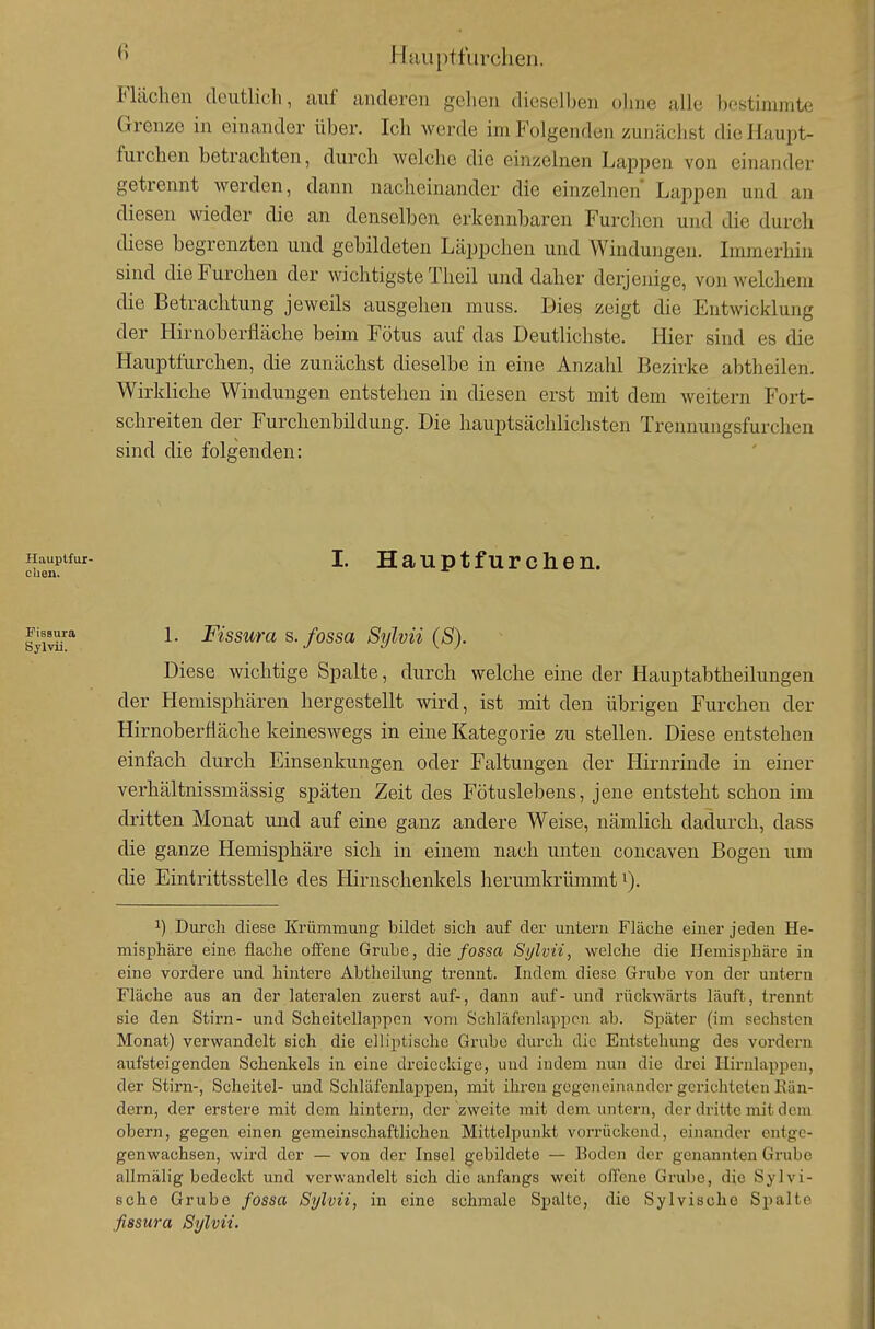 ^ Hau ptflirchen. Flächen dcuthch, auf anderen gehen dieselben ohne alle bestimmte Grenze in einander über. Ich werde im Folgenden zunächst die Haupt- furchen betrachten, durch welche die einzelnen Lappen von einander getrennt werden, dann nacheinander die einzelnen Lappen und an diesen wieder die an denselben erkennbaren Furchen und die durch diese begrenzten und gebildeten Läppchen und Windungen. Immerhin sind die Furchen der wichtigste Theil und daher derjenige, von welchem die Betrachtung jeweils ausgehen muss. Dies zeigt die Entwicklung der Hirnoberfläche beim Fötus auf das Deutlichste. Hier sind es die Hauptfurchen, die zunächst dieselbe in eine Anzahl Bezirke abtheilen. Wirkliche Windungen entstehen in diesen erst mit dem weitern Fort- schreiten der Furchenbildung. Die hauptsächlichsten Trennungsfurchen sind die folgenden: I. Hauptfur chen. L Fissura s. fossa Sylvii (S). Diese wichtige Spalte, durch welche eine der Hauptabtheilungen der Hemisphären hergestellt wird, ist mit den übrigen Furchen der Hirnoberfläche keineswegs in eine Kategorie zu stellen. Diese entstehen einfach durch Einsenkungen oder Faltungen der Hirnrinde in einer verhältnissmässig späten Zeit des Fötuslebens, jene entsteht schon im dritten Monat und auf eine ganz andere Weise, nämlich dadurch, dass die ganze Hemisphäre sich in einem nach unten concaven Bogen um die Eintrittsstelle des Hirnschenkels herumkrümmt i). 1) Durch diese Krümmung bildet sich auf der untern Fläche einer jeden He- misphäre eine flache offene Grube, die fossa Sylvii, welche die Hemisphäre in eine vordere und hintere Abtheilimg trennt. Indem diese Grube von der untern Fläche aus an der lateralen zuerst auf-, dann auf - und rückwärts läuft, trennt sie den Stirn- und Scheitellappen vom Schläfenlappcn ab. Später (im sechsten Monat) verwandelt sich die elliptische Grube durch die Entstehung des vordem aufsteigenden Schenkels in eine dreieckige, und indem nun die drei Hirnlappen, der Stirn-, Scheitel- und Schläfenlappen, mit ihren gegeneinander gerichteten Rän- dern, der erstere mit dem hintern, der zweite mit dem untern, der dritte mit dem obern, gegen einen gemeinschaftlichen Mittelpunkt vorrückend, einander entge- genwachsen, wird der — von der Insel gebildete — Boden der genannten Grube allmälig bedeckt und verwandelt sich die anfangs weit offene Grube, die Sylvi- Bche Grube fossa Sylvii, in eine schmale Spalte, die Sylvische Spalte fissura Sylvii. Hauptfur- cUen.