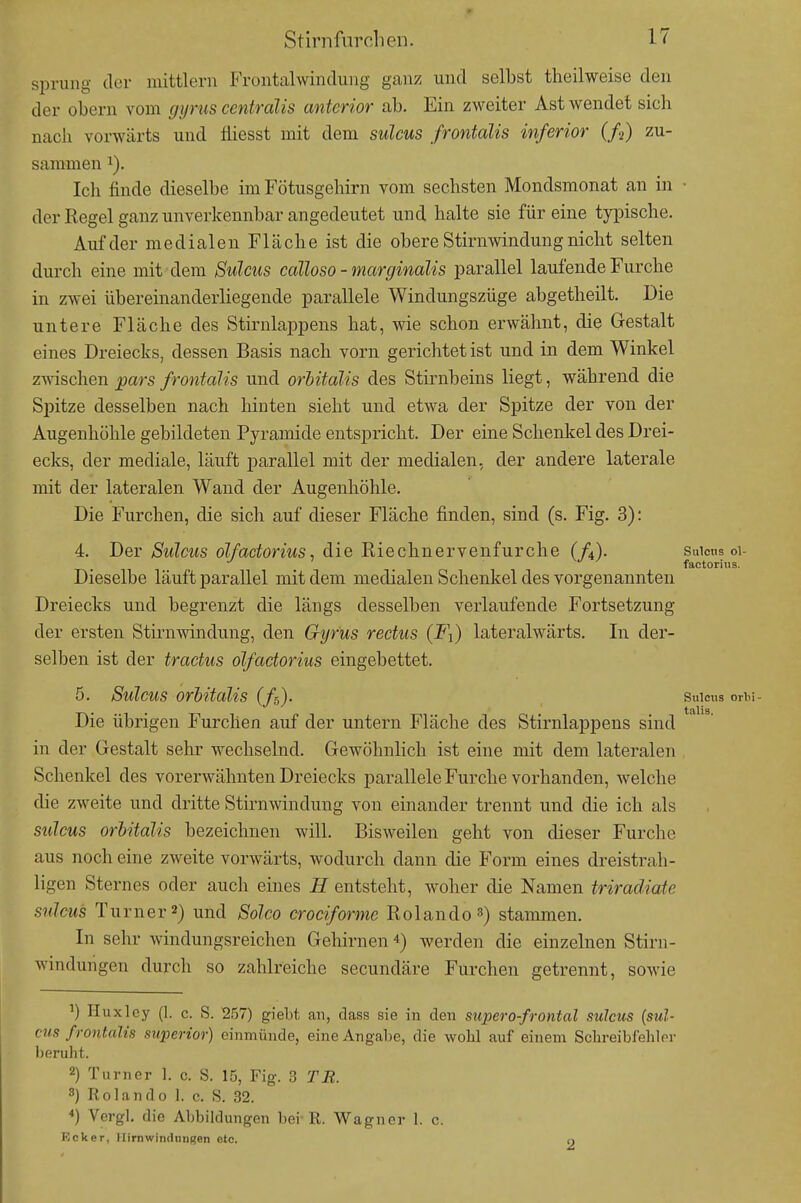 Sprung der mittlem Frontalwindung gan;? und selbst theilweise den der obern vom gyrus centralis anterior ab. Ein zweiter Ast wendet sich nach vorwärts und fliesst mit dem sulcus frontalis inferior (fi) zu- sammen 1). Ich finde dieselbe im Fötusgehirn vom sechsten Mondsmonat an in • der Eegel ganz unverkennbar angedeutet und halte sie für eine typische. Auf der medialen Fläche ist die obere Stirnwindung nicht selten durch eine mit dem Sulcus calloso - marginalis parallel laufende Furche in zwei übereinanderliegende parallele Windungszüge abgetheilt. Die untere Fläche des Stirnlappens hat, wie schon erwähnt, die Gestalt eines Dreiecks, dessen Basis nach vorn gerichtet ist und in dem Winkel zwischen ^ars frontalis und orhitalis des Stirnbeins liegt, während die Spitze desselben nach hinten sieht und etwa der Spitze der von der Augenhöhle gebildeten Pyramide entspricht. Der eine Schenkel des Drei- ecks, der mediale, läuft parallel mit der medialen, der andere laterale mit der lateralen Wand der Augenhöhle. Die Furchen, die sich auf dieser Fläche finden, sind (s. Fig. 3): 4. I)er Stilciis olfactorius, die Riechnerveniurche (f^). suicns oi- Dieselbe läuft parallel mit dem medialen Schenkel des vorgenannten Dreiecks und begrenzt die längs desselben verlaufende Fortsetzung der ersten Stirnwindung, den Gyrus rectus (F^) lateralwärts. In der- selben ist der tractus olfactorius eingebettet. 5. Sulcus orhitalis (/s). Sulcus orli Die übrigen Furchen auf der untern Fläche des Stirnlappens sind in der Gestalt sehr wechselnd. Gewöhnlich ist eine mit dem lateralen Schenkel des vorerwähnten Dreiecks parallele Furche vorhanden, welche die zweite und dritte Stirnwindung von einander trennt und die ich als sulcus orhitalis bezeichnen will. Bisweilen geht von dieser Furche aus noch eine zweite vorwärts, wodurch dann die Form eines dreistrah- ligen Sternes oder auch eines H entsteht, woher die Namen triradiate sulcus Turner«) und Solco crociforme Bolando^) stammen. In sehr windungsreichen Gehirnen 4) werden die einzelnen Stirn- windungen durch so zahlreiche secundäre Furchen getrennt, sowie Huxley (1. c. S. 257) giebt, an, dass sie in den stipero-frontal sulcus {sul- cus frontalis superior) einmünde, eine Angabe, die wohl auf einem Sclireibfehler beruht. 2) Turner 1. c. S. 15, Fig. 3 TR. 8) Rolando 1. c. S. 32. *) Vergl. die Abbildungen bei-R. Wagner 1. c. Kok er, Hirnwindungen etc. O