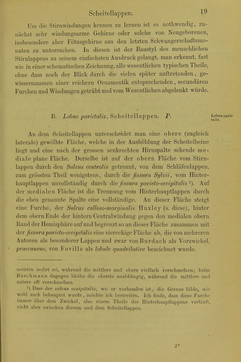 Scheitellappen. 1^ Um die Stirn Windungen kennen zu lernen ist es notliwendig, zu- nächst sehr windungsarme Gehirne oder solche von Neugeborenen, insbesondere aber Fötusgehirne aus den letzten Schwangerschaftsmo- naten zu untersuchen. In diesen ist der Baustyl des menschlichen Stirnlappens zu seinem einfachsten Ausdruck gelangt, man erkennt, fast wie in einer schematischen Zeichnung, alle wesentlichen typischen Theile, ohne dass noch der Blick durch die vielen später auftretenden, ge- Massermaassen einer reichern Ornamentik entsprechenden, secundären Furchen und Windungen getrübt und vom Wesentlichen abgelenkt würde. B. Zo&MS jjaneto7?'s, Scheitellappen. P. lail'^^'*''' An dem Scheitellappen unterscheidet man eine obere (zugleich laterale) gewölbte Fläche, welche in der Aushöhlung der Scheitelbeine liegt und eine nach der grossen senkrechten Hirnspalte sehende me- diale plane Fläche. Derselbe ist auf der obern Fläche vom Stirn- lappen durch den Sülms centralis getrennt, von dem Schläfenlappen, zum grössten Theil wenigstens, durch die fissura Sylvii, vom Hinter- hauptlappen unvollständig durch die fissura parieto-occipitalis ^). Auf der medialen Fläche ist die Trennung vom Hinterhauptlappen durch die eben genannte Spalte eine vollständige. An dieser Fläche steigt eine Furche, der Sulcus calloso-marginalis Huxley (s. diese), hinter dem obern Ende der hintern Centraiwindung gegen den medialen obern Rand der Hemisphäre auf und begrenzt so an dieser Fläche zusammen mit der fissura parieto-occipitalis eine vierecldge Fläche ab, die von mehreren Autoren als besonderer Lappen und zwar von Burdach als Vorzwickel, praecuneus, von Foville als lohule quadriJatere bezeichnet wurde. meisten isolirt sei, während die mittlere und obere vielfach verschmelzen; beim Buschmann dagegen bleibe die oberste unabhängig, während die mittlere und untere oft verschmelzen. 1) Dass der siclcus occipitalis, wo er vorhanden ist, die Grenze bilde, wie wolil auch behauptet wurde, möchte ich Ijestreiten. Ich finde, dass diese Furche immer über dem Zwickel, also einem Theile des Hinterhauptlappens verläuft, nicht aber zwischen diesem und dem Scheitellappen. 2*