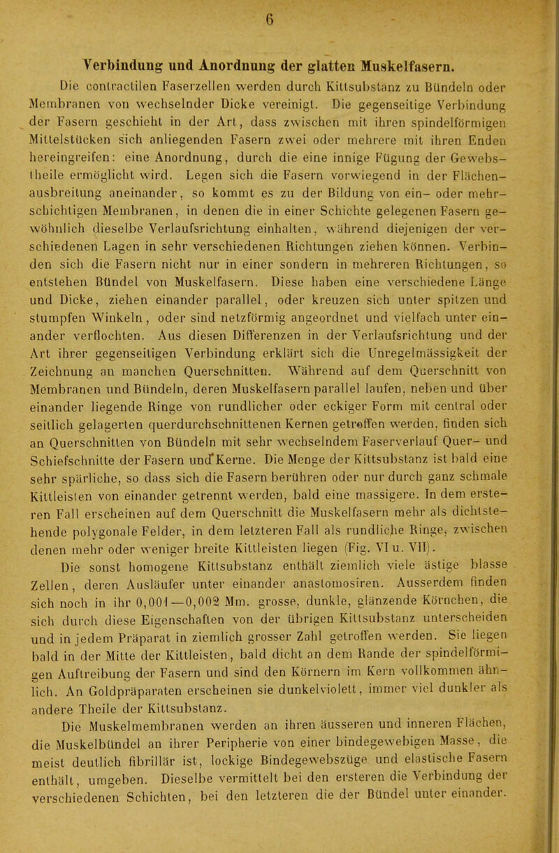 Verbindung und Anordnung der glatten Muskelfasern. Die conlractilen Faserzellen werden durch Kittsubslanz zu Bündeln oder Membranen von wechselnder Dicke vereinigt. Die gegenseitige Verbindung der Fasern geschieht in der Art , dass zwischen mit ihren spindelförmigen MillelstUcken sich anliegenden Fasern zwei oder mehrere mit ihren Enden hereingreifen: eine Anordnung, durch die eine innige Fügung der Gewebs- theile ermöglicht wird. Legen sich die Fasern vorwiegend in der Flüchen— ausbreilung aneinander, so kommt es zu der Bildung von ein- oder mehr- schichtigen Membranen, in denen die in einer Schichte gelegenen Fasern ge- wöhnlich dieselbe Verlaufsrichtung einhalten, wahrend diejenigen der ver- schiedenen Lagen in sehr verschiedenen Richtungen ziehen können. Verbin- den sich die Fasern nicht nur in einer sondern in mehreren Richtungen, so entstehen Bündel von Muskelfasern. Diese haben eine verschiedene Länge und Dicke, ziehen einander parallel, oder kreuzen sich unter spitzen und stumpfen Winkeln, oder sind netzförmig angeordnet und vielfach unter ein- ander verflochten. Aus diesen Differenzen in der Verlaufsrichtung und der Art ihrer gegenseitigen Verbindung erklärt sich die Unregelmässigkeit der Zeichnung an manchen Querschnitten. Während auf dem Querschnitt von Membranen und Bündeln, deren Muskelfasern parallel laufen, neben und über einander liegende Ringe von rundlicher oder eckiger Form mit central oder seitlich gelagerten querdurchschnittenen Kernen getroffen werden, finden sich an Querschnitten von Bündeln mit sehr wechselndem Faserverlauf Quer- und Schiefschnilte der Fasern und'Kerne. Die Menge der Kittsubslanz ist bald eine sehr spärliche, so dass sich die Fasern berühren oder nur durch ganz schmale Kittleislen von einander getrennt werden, bald eine massigere. In dem erste- ren Fall erscheinen auf dem Querschnitt die Muskelfasern mehr als dichtste- hende polygonale Felder, in dem letzteren Fall als rundliche Ringe, zwischen denen mehr oder weniger breite Kiltleisten liegen (Fig. VIu. VII). Die sonst homogene Kittsubstanz enthält ziemlich viele ästige blasse Zellen, deren Ausläufer unter einander anastomosiren. Ausserdem finden sich noch in ihr 0,001—0,002 Mm. grosse, dunkle, glänzende Körnchen, die sich durch diese Eigenschaften von der übrigen Kiltsubstanz unterscheiden und in jedem Präparat in ziemlich grosser Zahl getroffen werden. Sie liegen bald in der Mitte der Kittleislen, bald dicht an dem Rande der spindelförmi- gen Auftreibung der Fasern und sind den Körnern im Kern vollkommen ähn- lich. An Goldpräparaten erscheinen sie dunkelviolett, immer viel dunklet' als andere Theile der Kiltsubstanz. Die Muskelmembranen werden an ihren äusseren und inneren Flächen, die Muskelbündel an ihrer Peripherie von einer bindegewebigen Masse, die meist deutlich fibrillär ist, lockige Bindegewebszüge und elastische Fasern enthält, umgeben. Dieselbe vermittelt bei den ersteren die Verbindung der verschiedenen Schichten, bei den letzteren die der Bündel unter einander.