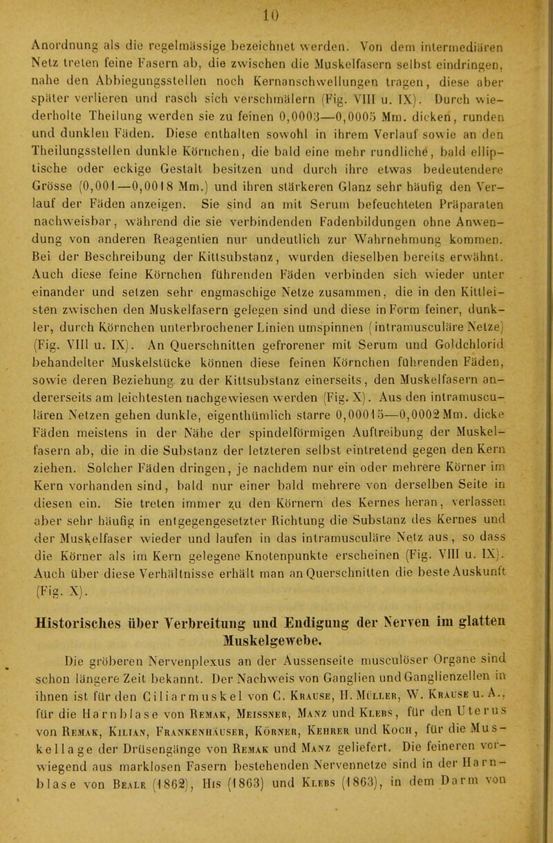 Anordnung als die regelmässige bezeichnet werden. Von dem intermediären Netz treten feine Fasern ab, die zwischen die Muskelfasern selbst eindringen, nahe den Abbiegungsstellen noch Kernanschwellungen tragen, diese aber später verlieren und rasch sich verschmälern (Fig. VIII u. IX). Durch wie- derholte Theilung werden sie zu feinen 0,0003—0,000ö Mm. dicken, runden und dunklen Fäden. Diese enthalten sowohl in ihrem Verlauf sowie an den Theilungsstellen dunkle Körnchen, die bald eine mehr rundliche, bald ellip- tische oder eckige Gestalt besitzen und durch ihre etwas bedeutendere Grösse (0,001—0,0018 Mm.) und ihren stärkeren Glanz sehr häufig den Ver- lauf der Fäden anzeigen. Sie sind an mit Serum befeuchteten Präparaten nachweisbar, während die sie verbindenden Fadenbildungen ohne Anwen- dung von anderen Reagentien nur undeutlich zur Wahrnehmung kommen. Bei der Beschreibung der Killsubstanz, wurden dieselben bereits erwähnt. Auch diese feine Körnchen führenden Fäden verbinden sich wieder unter einander und setzen sehr engmaschige Nelze zusammen, die in den Kittlei- sten zwischen den Muskelfasern gelegen sind und diese in Form feiner, dunk- ler, durch Körnchen unterbrochener Linien umspinnen (intramusculäre Nelze (Fig. VIII u. IX). An Querschnitten gefrorener mit Serum und Goldchlorid behandelter Muskelstücke können diese feinen Körnchen führenden Fäden, sowie deren Beziehung zu der Kittsubstanz einerseits, den Muskelfasern an- dererseits am leichtesten nachgewiesen werden (Fig. X). Aus den intramuscu- lären Netzen gehen dunkle, eigentümlich starre 0,00015—0,0002 Mm. dicke Fäden meistens in der Nähe der spindelförmigen Auflreibung der Muskel- fasern ab, die in die Substanz der letzteren selbst eintretend gegen den Kern ziehen. Solcher Fäden dringen, je nachdem nur ein oder mehrere Körner im Kern vorhanden sind, bald nur einer bald mehrere von derselben Seite in diesen ein. Sie treten immer zu den Körnern des Kernes heran, verlassen aber sehr häufig in enlgegengesetzter Richtung die Substanz des Kernes und der Muskelfaser wieder und laufen in das intramusculäre Netz aus , so dass die Körner als im Kern gelegene Knotenpunkte erscheinen (Fig. VIII u. IX Auch über diese Verhältnisse erhält man an Querschnitten die beste Auskunft (Fig. X). Historisches über Verbreitung und Endigung der Nerven im glatten Muskelgewebe. Die gröberen Nervenplexus an der Aussenseite musculöser Organe sind schon längere Zeit bekannt. Der Nachweis von Ganglien und Ganglienzellen in ihnen ist für den Cilia rmuskel von C. Krause, H. Müller, W. Krause u. A.. für die Harnblase von Remak, Meissner, Manz und Klebs, für den Uterus von Remak, Kilian, Frankeniiäuser, Körner, Kehrer und Koch, für die Mus- kellage der Drüsengänge von Remak und Manz geliefert. Die feineren vor- wiegend aus marklosen Fasern bestehenden Nervennetze sind in der Harn- blase von Beale (1862), His (1863) und Klebs (1863), in dem Darm von