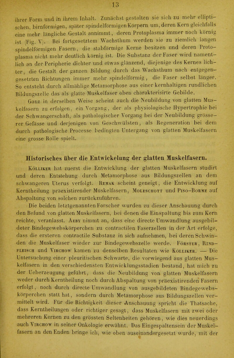 ihrer Form und in ihrem Inhalt. Zunächst gestalten sie sich zu mehr ellipti- schen, birnförmigen, später spindelförmigen Körpern um, deren Kern gleichfalls eine mehr längliche Gestalt annimmt, deren Protoplasma immer noch körnig ist (Fig. V . Bei fortgesetztem Wachslhum werden sie zu ziemlich langen spindelförmigen Fasern, die stabförmige Kerne besitzen und deren Proto- plasma nicht mehr deutlich körnig ist. Die Substanz der Faser wird nament- lich an der Peripherie dichter und etwas glänzend, diejenige des Kernes lich- ter , die Gestalt der ganzen Bildung durch das Wachsthum nach entgegen- gesetzten Richtungen immer mehr spindelförmig , die Faser selbst länger. So entsteht durch allmählige Metamorphose aus einer kernhaltigen rundlichen Bildungszelle das als glatte Muskelfaser oben charakterisirte Gebilde. Ganz in derselben Weise scheint auch die Neubildung von glatten Mus- kelfasern zu erfolgen, ein Vorgang, der als physiologische Hypertrophie bei der Schwangerschaft, als pathologischer Vorgang bei der Neubildung grösse- rer Gefässe und derjenigen von Geschwülsten, als Regeneration bei dem durch pathologische Processe bedingten Untergang von glatten Muskelfasern eine grosse Rolle spielt. Historisches über die Entwickelung der glatten Muskelfasern. Kölliker hat zuerst die Entwicklung der glatten Muskelfasern studirt und deren Entstehung durch Metamorphose aus Rildungszellen an dem schwangeren Uterus verfolgt. Remak scheint geneigt, die Entwicklung auf Kerntheilung präexistirender Muskelfasern, Moleschott und Piso-Borme auf Abspaltung von solchen zurückzuführen. Die beiden letztgenannten Forscher wurden zu dieser Anschauung durch den Befund von glatten Muskelfasern, bei denen die Einspaltung bis zum Kern reichte, veranlasst. Aeby nimmt an, dass eine directe Umwandlung ausgebil- deter Bindegewebskörperchen zu contractilen Faserzellen in der Art erfolge, dass die ersteren contractile Substanz in sich aufnehmen, bei deren Schwin- den die Muskelfaser wieder zur Bindegewebszelle werde. Förster, Bind- fleisch und Virchow kamen zu denselben Resultaten wie Kölliker. — Die Untersuchung einer pleuritischen Schwarte, die vorwiegend aus glatten Mus- kelfasern in den verschiedensten Entwicklungsstadien bestand, hat mich zu der Ueberzeugung geführt, dass die Neubildung von glatten Muskelfasern weder durch Kerntheilung noch durch Abspaltung von präexistirenden Fasern erfolgt, noch durch directe Umwandlung von ausgebildeten Bindegewebs- körperchen statthat, sondern durch Metamorphose aus Bildungszellen ver- mittelt wird. Für die Richtigkeit dieser Anschauung spricht die Thatsache, dass Kerntheilungen oder richtiger gesagt, dass Muskelfasern mit zwei oder mehreren Kernen zu den grössten Seltenheiten gehören, wie dies neuerdings auch Virchow in seiner Onkologie erwähnt. Das Eingespaltensein der Muskel- fasern an den Enden bringe ich, wie oben auseinandergesetzt wurde, mit der