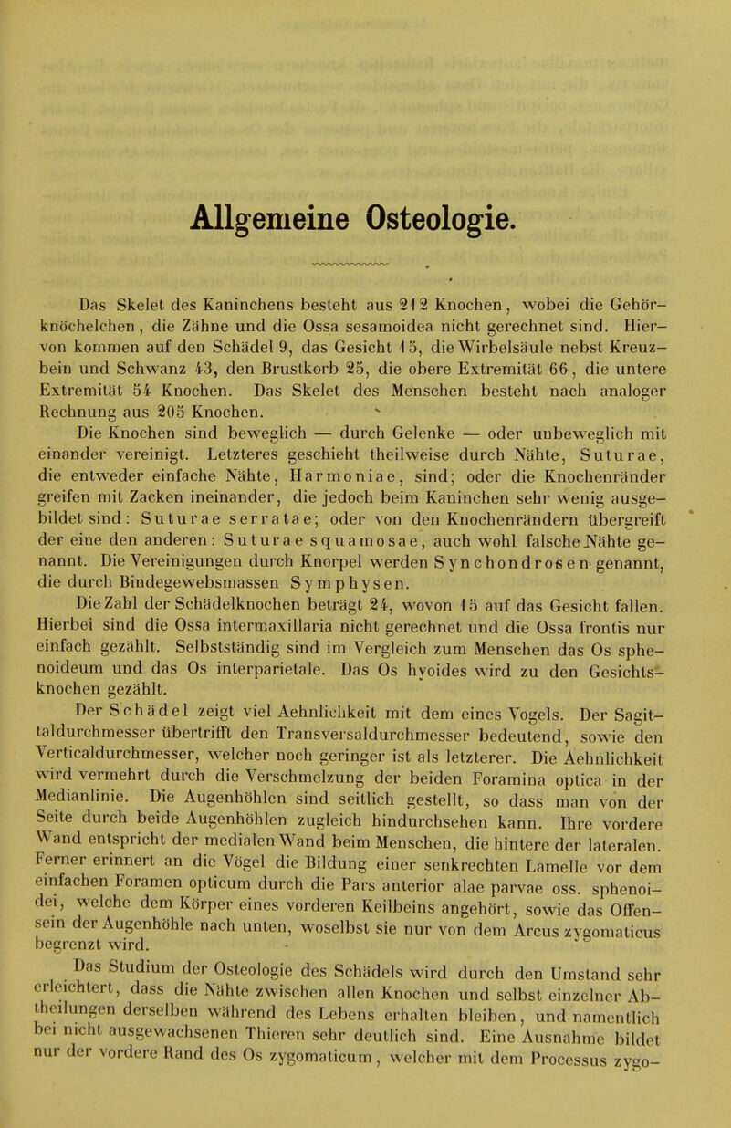 Allgemeine Osteologie. Das Skelet des Kaninchens besteht aus 212 Knochen, wobei die Gehör- knöchelchen, die Zähne und die Ossa sesamoidea nicht gerechnet sind. Hier- von kommen auf den Schädel 9, das Gesicht 15, die Wirbelsäule nebst Kreuz- bein und Schwanz 43, den Brustkorb 25, die obere Extremität 66, die untere Extremität 54 Knochen. Das Skelet des Menschen besteht nach analoger Rechnung aus 205 Knochen. Die Knochen sind beweglich — durch Gelenke — oder unbeweglich mit einander vereinigt. Letzteres geschieht theilweise durch Nähte, Suturae, die entweder einfache Nähte, Harmoniae, sind; oder die Knochenränder greifen mit Zacken ineinander, die jedoch beim Kaninchen sehr wenig ausge- bildet sind: Suturae serratae; oder von den Knochenrändern übergreift der eine den anderen: Suturae squamosae, auch wohl falsche Nähte ge- nannt. Die Vereinigungen durch Knorpel werden Synchondrosen genannt, die durch Bindegewebsmassen Symphysen. Die Zahl der Schädelknochen beträgt 24, wovon 15 auf das Gesicht fallen. Hierbei sind die Ossa intermaxi Ilaria nicht gerechnet und die Ossa frontis nur einfach gezählt. Selbstsländig sind im Vergleich zum Menschen das Os sphe- noideum und das Os inlerparietale. Das Os hyoides wird zu den Gesichts- knochen gezählt. Der Schädel zeigt viel Aehnlichkeit mit dem eines Vogels. Der Sagit- taldurchmesser tibertrifft den Transversaldurchmesser bedeutend, sowie den Verticaldurchmesser, welcher noch geringer ist als letzterer. Die Aehnlichkeit wird vermehrt durch die Verschmelzung der beiden Foramina optica in der Medianlinie. Die Augenhöhlen sind seitlich gestellt, so dass man von der Seite durch beide Augenhöhlen zugleich hindurchsehen kann. Ihre vordere Wand entspricht der medialen Wand beim Menschen, die hintere der lateralen. Ferner erinnert an die Vögel die Bildung einer senkrechten Lamelle vor dem einfachen Foramen opticum durch die Pars anterior alae parvae oss. sphenoi- dei, welche dem Körper eines vorderen Keilbeins angehört, sowie das Offen- sein der Augenhöhle nach unten, woselbst sie nur von dem Arcus zygomaticus begrenzt wird. Das Studium der Osteologie des Schädels wird durch den Umstand sehr erleichtert, dass die Nähte zwischen allen Knochen und selbst einzelner Ab- teilungen derselben während des Lebens erhalten bleiben, und namentlich bei Dicht ausgewachsenen Thieren sehr deutlich sind. Eine Ausnahme bildel nur der vordere Rand des Os zygomaticum , welcher mit dem Processus zygo-