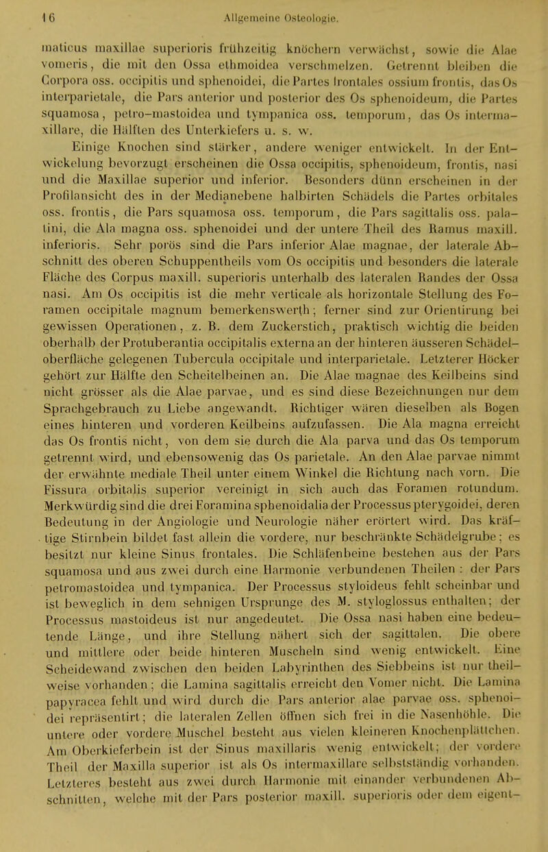 matieus maxillae superioris frühzeitig knöchern verwachst, sowie die Alae vomeris, die mit den Ossa ethmoidea verschmelzen. Getrennt bleiben die Corpora oss. occipilis und sphenoidei, die Partes Irontales ossiuin frontis, dasOs interparietale, die Pars anterior und posterior des Os sphenoideum, die Partes squamosa, petrö-mastoidea und tympanica oss. temporum, das Os interma- xillare, die Hallten des Unterkiefers u. s. w. Einige Knochen sind starker, andere weniger entwickelt. In der Ent- wicklung bevorzugt erscheinen die Ossa occipilis, sphenoideum, frontis, nasi und die Maxillae superior und inferior. Besonders dünn erscheinen in der Profilansicht des in der Medianebene halbirlen Schädels die Partes orbitales oss. frontis, die Pars squamosa oss. temporum, die Pars sagiltalis oss. pala- lini, die Ala magna oss. sphenoidei und der untere Theil des Ramus inaxill. inferioris. Sehr porös sind die Pars inferior Alae magnae, der laterale Ab- schnitt des oberen Schuppentheils vom Os occipilis und besonders die laterale Fläche des Corpus maxill. superioris unterhalb des lateralen Randes der Ossa nasi. Am Os occipitis ist die mehr verticale als horizontale Stellung des Fo- ramen occipitale magnum bemerkenswert!!; ferner sind zur Orientirung bei gewissen Operationen, z. R. dem Zuckerstich, praktisch wichtig die beiden oberhalb der Protuberantia occipitalis externa an der hinteren äusseren Schädel- oberfläche gelegenen Tubercula occipitale und interparietale. Letz lerer Höcker gehört zur Hälfte den Scheitelbeinen an. Die Alae magnae des Keilbeins sind nicht grösser als die Alae parvae, und es sind diese Bezeichnungen nur dem Sprachgebrauch zu Liebe angewandt. Richtiger wären dieselben als Rogen eines hinteren und vorderen Keilbeins aufzufassen. Die Ala magna erreicht das Os frontis nicht, von dem sie durch die Ala parva und das Os temporum getrennt wird, und ebensowenig das Os parietale. An den Alae parvae nimmt der erwähnte mediale Theil unter einem Winkel die Richtung nach vorn. Die Fissura orbitalis superior vereinigt in sich auch das Foramen rotundum. Merkwürdig sind die drei Foramina sphenoidalia der Processus pterygoidei, deren Bedeutung in der Angiologie und Neurologie näher erörtert wird. Das kräf- tige Stirnbein bildet fast allein die vordere, nur beschränkte Schädelgrube; es besitzt nur kleine Sinus frontales. Die Schläfenbeine bestehen aus der Pars squamosa und aus zwei durch eine Harmonie verbundenen Theilen : der Pars petromastoidea und tympanica. Der Processus styloideus fehlt scheinbar und ist beweglich in dem sehnigen Ursprünge des M. styloglossus enthalten; der Processus mastoideus ist nur angedeutet, Die Ossa nasi haben eine bedeu- tende Länge, und ihre Stellung nähert sich der sagittalen. Die oben- und mittlere oder beide hinleren Muscheln sind wenig entwickelt. Eine Scheidewand zwischen den beiden Labyrinthen des Siebbeins ist nur theil- weise vorhanden; die Lamina sagiltalis erreicht den Vomer nicht. Die Lainina papyracea fehlt und wird durch die Pars anterior alae parvae oss. sphenoi- dei repräsentirt; die lateralen Zellen öffnen sich frei in die Nasenhöhle. Die untere oder vordere Muschel besieht aus vielen kleineren Knochen].lättehen. Am Oberkieferbein ist der Sinus mäxillaris wenig enjfwiqkeltj der «ordere Theil der Maxilla superior ist als Os intermaxillare selbstständig vorhanden. Letztere^ besteht aus zwei durch Harmonie mit einander verbundenen Ab- schnitten, welche mit der Pars posterior inaxill. superioris oder dem eigent-