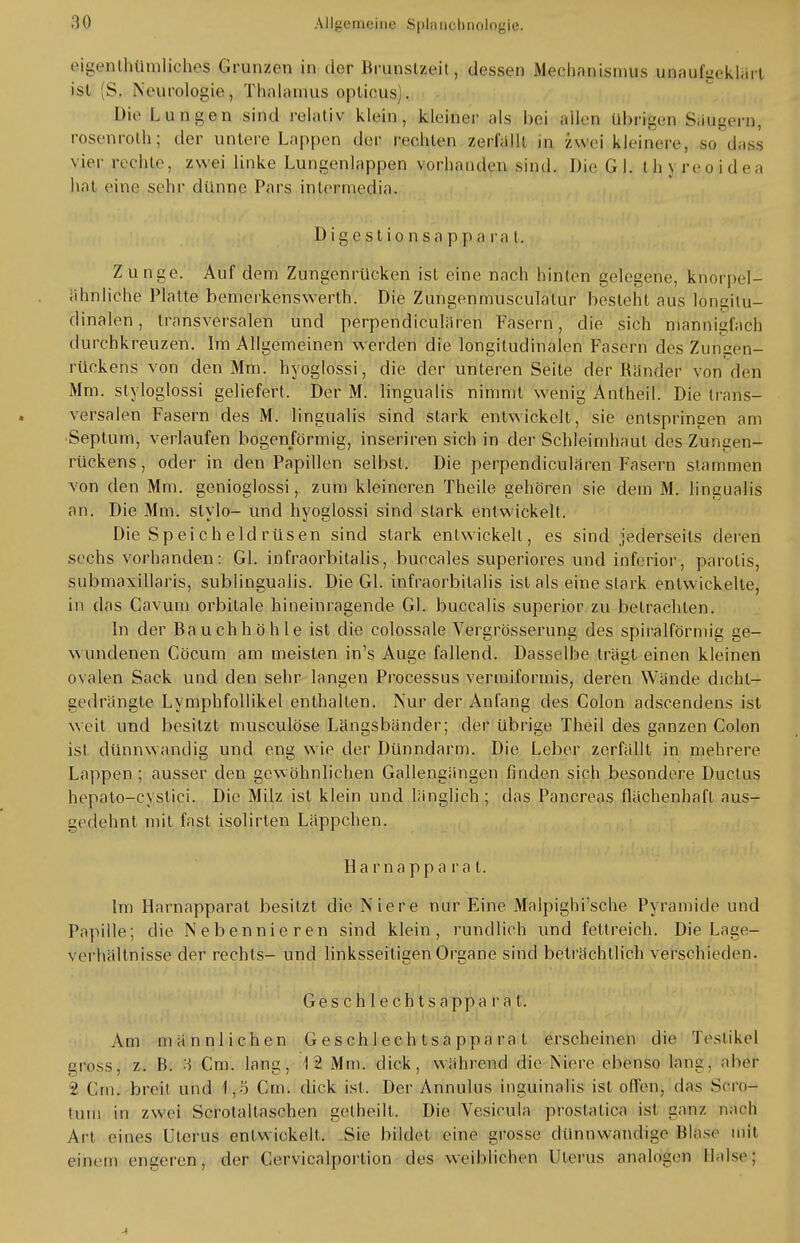 eige©tbtltt)UeheS Grunzen in der Hi uiislzcit , dessen Mechanismus unaufgeklärt ist (S. Neurologie, Thalamus oplieus . Die Lungen sind relativ klein, kleiner als bei alten übrigen Säugern, rosenroth; der untere Lappen der reehlen zerfällt in zwei kleinere, so da BS vier rechte, zwei linke Lungenlappen vorhanden sind. Die Gl. th\ reoidea hat eine selir dünne Pars intermedia. Dige stio n sa p p a ra t. Z ü nge. Auf dem Zungenrücken ist eine nach hinten gelegene, knörpel- ähnliche Platte bemcrkenswerlh. Die Zungenmusculalur besteht aus longilu- dinalen, transversalen und perpendiculiiren Fasern, die sich mannigfach durchkreuzen. Im Allgemeinen werden die longitudinalen Fasern des Zuhgen- rückens von den Mm. hyoglossi, die der unteren Seite der Händer von den Mm. styloglossi geliefert, Der M. lingualis nimmt wenig Antheil. Die trans- versalen Fasern des M. lingualis sind stark entwickelt, sie entspringen am Septum, verlaufen bogenförmig, inseriren sich in der Schleimhaut des Zungen- rückens , oder in den Papillen selbst. Die perpendiculären Fasern stammen von den Mm. genioglossi, zum kleineren Theile gehören sie dem M. lingualis an. Die Mm. stylo- und hyoglossi sind stark entwickelt. Die Speicheldrüsen sind stark entwickelt, es sind jederseils deren sechs vorhanden: Gl. infraorbitalis, buccales superiores und inferior, parotis, submaxillaris, sublingualis. Die Gl. infraorbitalis ist als eine stark entwickelte, in das Cavum orbitale hineinragende Gl. buccalis superior zu betrachten. In der Bauchhöhle ist die colossale Vergrösserung des spiralförmig ge- wundenen Cöcum am meisten in's Auge fallend. Dasselbe trägt einen kleinen ovalen Sack und den sehr langen Processus vermiformis, deren Wände dicht- gedrängte Lymphfollikel enthalten. Nur der Anfang des Colon adscendens ist weil und besitzt museulöse Längsbänder; der übrige Theil des ganzen Colon ist dünnwandig und eng wie der Dünndarm. Die Leber zerfällt in mehrere Lappen ; ausser den gewöhnlichen Gallengängen finden sich besondere Ductus hepato-cystici. Die Milz ist klein und länglich ; das Pancreas flächenhaft aus- gedehnt mit fast isolirten Läppchen. Ha rnappa ra t. Im Harnapparat besitzt die Niere nur Eine Malpighi'sche Pyramide und Papille; die Nebennieren sind klein, rundlieh und fettreich. Die Lage- verhältnisse der rechts- und linksseitigen Organe sind beträchtlich verschieden. Geschlechts appa rat. Am männlichen G e s ch 1 e c h t s a p p a r a t erscheinen die Testikel griossj z. B. 3 Cm. lang, 12 Mm. dick, während die Miere ebenso lang, aber ■> Gm. breit und 1,5 Cm. dick ist. Der Annulus inguinalis ist offen, das Sero- tum in zwei Scrotaltaschen getheilt. Die Vesicula proslatica ist ganz nach Art eines Uterus entwickelt. Sie bildet eine grosse dünnwandige Blase mit einem engeren, der Cerviealportion des weiblichen Uterus analogen Halse; 4