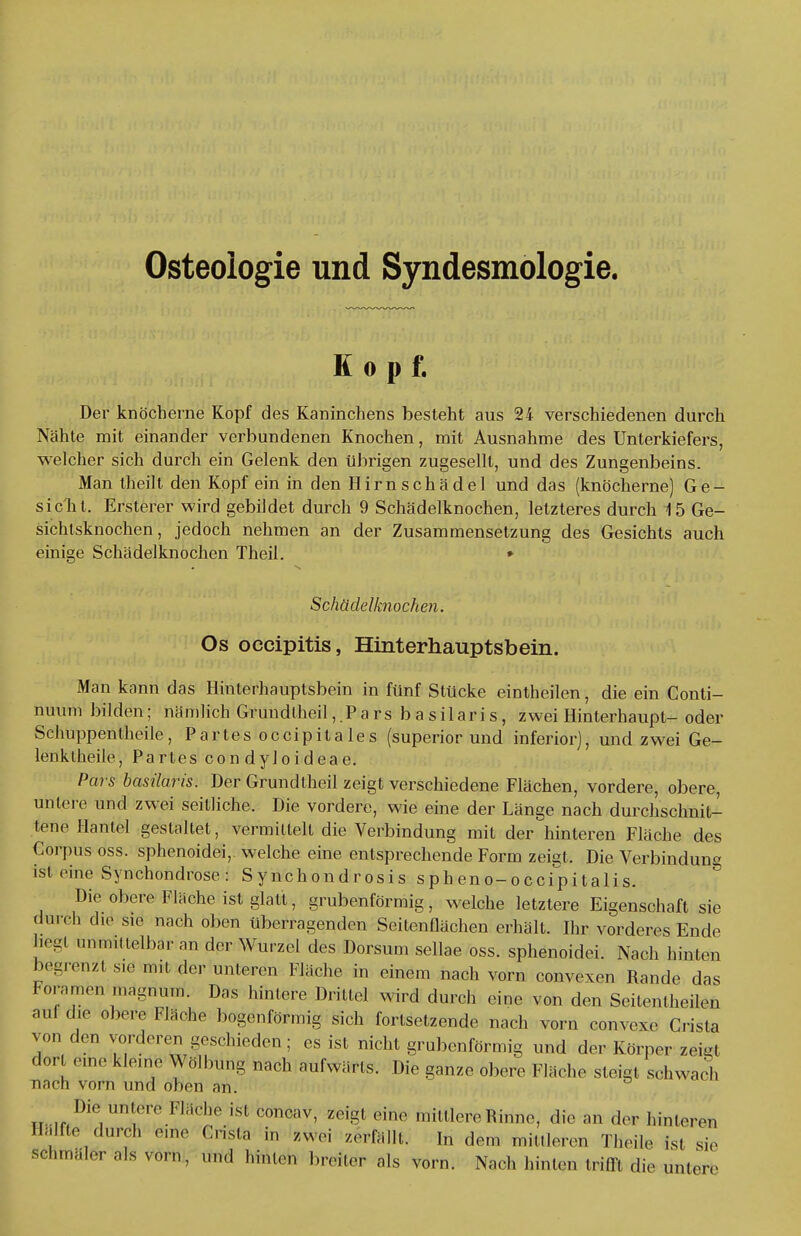 Osteologie und Syndesmologie. Kopf. Der knöcherne Kopf des Kaninchens besteht aus 24 verschiedenen durch Nähte mit einander verbundenen Knochen, mit Ausnahme des Unterkiefers, welcher sich durch ein Gelenk den übrigen zugesellt, und des Zungenbeins. Man theilt den Kopf ein in den Hirnschädel und das (knöcherne) Ge- sicht. Ersterer wird gebildet durch 9 Schädelknochen, letzteres durch 15 Ge- sichtsknochen, jedoch nehmen an der Zusammensetzung des Gesichts auch einige Schädelknochen Theil. » Schädelknochen. Os oecipitis, Hinterhauptsbein. Man kann das Hinterhauptsbein in fünf Stücke eintheilen, die ein Conti- nuum bilden; nämlich Grundlheil ,.Pa rsbasilaris, zwei Hinterhaupt- oder Schuppentheile, Partes occipitales (superior und inferior), und zwei Ge- lenktheile, Partes con dyloideae. Pars basilaris. Der Grundlheil zeigt verschiedene Flächen, vordere, obere, untere und zwei seitliche. Die vordere, wie eine der Länge nach durchschnit- tene Hantel gestaltet, vermittelt die Verbindung mit der hinteren Fläche des Corpus oss. sphenoidei,. welche eine entsprechende Form zeiet. Die Verbindung ist eine Synchondrose : Synchondrosis sph eno-occipitalis. Die obere Fläche ist glatt, grubenförmig, welche letztere Eigenschaft sie dwch du* sie nach oben überragenden Seitenflächen erhält. Ihr vorderes Ende hegt mittelbar an der Wurzel des Dorsum sellae oss. sphenoidei. Nach hinton begrenzt s.e mit der unleren Fläche in einem nach vorn convexen Rande das foramon ,na»nu«n. Das hinlere Drittel wird durch eine von den Seitentheilen au! die obere Fläche bogenförmig sich fortsetzende nach vorn convcxe Crista von den vorderen geschieden; es ist nicht grubenförmig und der Körper zeigl dort eine kleine Wölbung nach aufwärts. Die ganze obere Fläche steigt schwach nach vorn und oben an. Die untere Flücho ist concav, zeigt eine mittlere Rinne, die an der hinleren Hälfte durch eine Gnsta in zwei zerfallt, In dem mittleren Theile Ist sie schmäler als vorn, und hinten breiler als vorn. Nach hinten trifft die untere