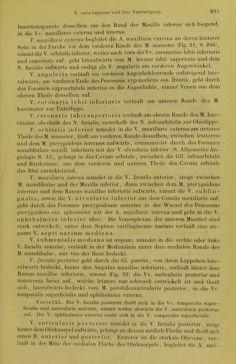 Ißsertionspuncte desselben um den Rand der Maxiila inferior sich biegend, in die Vv. maxillares externa und interna. V.maxillaris externa begleitet die A. maxillaris externa an deren hinterer Seite in der Furche vor dem vorderen Rande des M. masseter (Fig. 22, S. 206), nimmt die V. orbitalis inferior, weiter nach vorn dieVv. coronariae labii inferioris und superioris auf; geht lateralwärts vom M. levator labii superioris und dem N. facialis aufwärts und endigt als V. angularis am vorderen Augenwinkel. V. angularis verläuft am vorderen Augenhöhlenrande aufsteigend late- ralwärts, am vorderen Ende des Processus zygomaticus oss. frontis, geht durch das Foramen supraorbitale anterius in die Augenhöhle, nimmt Venen aus dem oberen Theile derselben auf. V. coronaria labii inferioris verläuft am unteren Rande des M. buccinator zur Unterlippe. V. coronaria labii superioris verläuft am oberen Rande des M. buc- cinator, oberhalb des N. facialis, unterhalb des N. infraorbitalis zur Oberlippe. V. orbitalis inferior mündet in die V. maxillaris externa am unteren Theile desM. masseter, läuft am vorderen Rande desselben, zwischen letzterem und dem M. pterygoideus internus aufwärts, communicirt durch das Foramen mandibulare maxill. inferioris mit der V. alveolaris inferior (S. Allgemeine An- giologie S. 33), gelangt in das Cavum orbitale, zwischen die GH. infraorbitalis und Harderiana; aus dem vorderen und unteren Theile des Cavum orbitale das Rlut zurückleitend. V. maxillaris interna mündet in die V. facialis anterior, steigt zwischen M. mandibulae und der Maxilla inferior, dann zwischen dem M. pterygoideus internus und dem Ramus maxillae inferioris aufwärts, nimmt die V. sublin- gualis, sowie die V. alveolaris inferior aus dem Canalis maxillaris auf. geht durch das Foramen pterygoideum anterius in der Wurzel des Processus pterygoideus oss. sphenoidei mit der A. maxillaris interna und geht in die V. ophthalmica inferior über. Die Venenplexus der unleren Muschel sind stark entwickelt; unter dem Septum cartilagineum narium verläuft eine un- paare V. septi narium mediana. V. submentalis mediana ist unpaar, mündet in die rechte oder linke V. facialis anterior, verläuft in der Medianlinie unter dem medialen Rande des M. mandibulae, nur von der Haut bedeckt. V. facialis posterior geht durch die Gl. parotis, von ihren Läppchen late- ralwarts bedeckt, hinter den Angulus maxillae inferioris, verläuft hinler dem Ramus maxillae inferioris, nimmt (Fig. 22) die Vv. auricularis posterior und transversa faciei auf, welche letztere nur schwach entwickelt ist und theilt sich, lateralwärts bedeckt vom M. parolideoauricularis posterior, in die Vv. lemporalis superficialis und ophthalmica externa. Varietät. Die V. facialis posterior theilt sich in die Vv. tenaporalis super- ficialis und auricularis anterior, nimmt weiter abwärts die V. auricularis posterior auf. Die V. ophthalmica externa senkt sich in die V. lemporalis super ficialis. V. auricularis posterior mündet in die V. facialis posterior, steiui hinter dem Ohrknorpel aufwärts, gelangt an dessen mediale Fläche und theilt sich einen M. anterior und posterior. Ersteier ist die stärkste Ohrvene, ver- läuff in der Milte der medialen Flüche des Ohrknorpels, begleitel die A. auri-