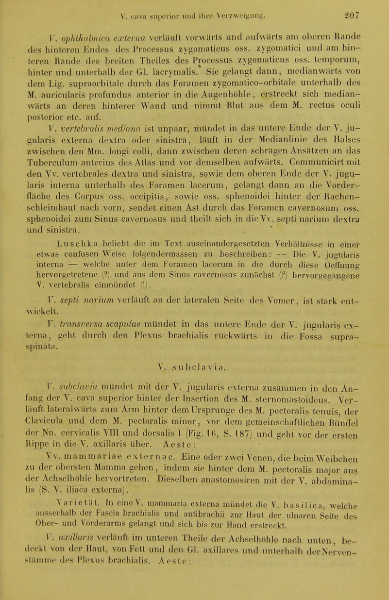 V. Ophthalmie« externa verläuft vorwärts und aufwärts am oberen Rande des hinteren Kodes des Processus zygomaticus oss. zygomalici und am hin- teren Rande des breiten Theiles des Processus zygomaticus oss. temporam, hinter und unterhalb der Gl. lacrymalis.* Sie gelangt dann, medianwärts von dem Lig. supraorbitale durch das Foramen zygomatico-orbilale unterhalb des M. auricularis profundus anterior in die Augenhöhle, erstreckt sich median- wärts an deren hinterer Wand und nimmt Rlut aus dem M. rectus oculi posterior etc. auf. V. vertebralis mediana ist unpaar, mündet in das untere Ende der V. ju- gularis externa dextra oder sinistra, läuft in der Medianlinie des Halses zwischen den Mm. longi colli, dann zwischen deren schrägen Ansätzen an das Tube reu 1 um anterius des Atlas und vor demselben aufwärts. Communicirt mit den Vv. vertebrales dextra und sinistra, sowie dem oberen Ende der V. jugu- laris interna unterhalb des Foramen lacerum , gelangt dann an die Vorder- fläche des Corpus oss. oeeipitis, sowie oss. sphenoidei hinter der Rachen- schleimhaut nach vorn, sendet einen Ast durch das Foramen cavernosum oss. sphenoidei zum Sinus cavernosus und tbeilt sich in dieVv. septi narium dextra und sinistra. Luschka beliebt die im Text auseinandergesetzten Verhältnisse in einer etwas confusen Weise folgendermassen zu beschreiben: -- Die V. jugularis interna — welche unter dem Foramen lacerum in die durch diese Oeffnung hervorgetretene (?) und aus dem Sinus cavernosus zunächst (?) hervorgegangene V. vertebralis einmündet (!). V. septi narium verläuft an der lateralen Seile des Vomer, ist stark ent- wickelt. V. transversa scapulae mündet in das untere Ende der V. jugularis ex- terna, geht durch den Plexus brachialis rückwärts in die Fossa supra- spinata. V. s u b c 1 a v i a. V. subclavia mündet mit der V. jugularis externa zusammen in den An- fang der V. cava superior hinter der Insertion des M. sternomasloidcus. Ver- läuft lateralwärts zum Arm hinter dem Ursprünge des M. pectoralis tenuis, der Clavicula und dem M. pectoralis minor, vor dem gemeinschaftlichen Ründel der Nn. cervicalis VIII und dorsalis 1 (Fig. 16, S. 187) und geht vor der ersten Rippe in die V. axillaris über. Aeste : Vv. mammariae externae. Eine oder zwei Venen, die beim Weibchen zu der obersten Mamma gehen, indem sie hinter dem M. pectoralis major aus der Achselhöhle hervortreten. Dieselben anastomosiren mit der V. abdomina- lis (S. V. iliaca externa). Varietät, In eine V. mammaria externa mündet die V. basilica, welche ausserhalb der Fascia brachialis und antibrachii zur Haut der ulnaren Seite des Ober- und Vorderarms gelangt und sich bis zur Hand erstreckt, V. axillaris verläuft im unteren Theile der Achselhöhle nach unten, be- deckt von der Haut, von Fett und den Gl. axillares und unterhalb derNerven-r slämme des Plexus brachialis. Aeste: