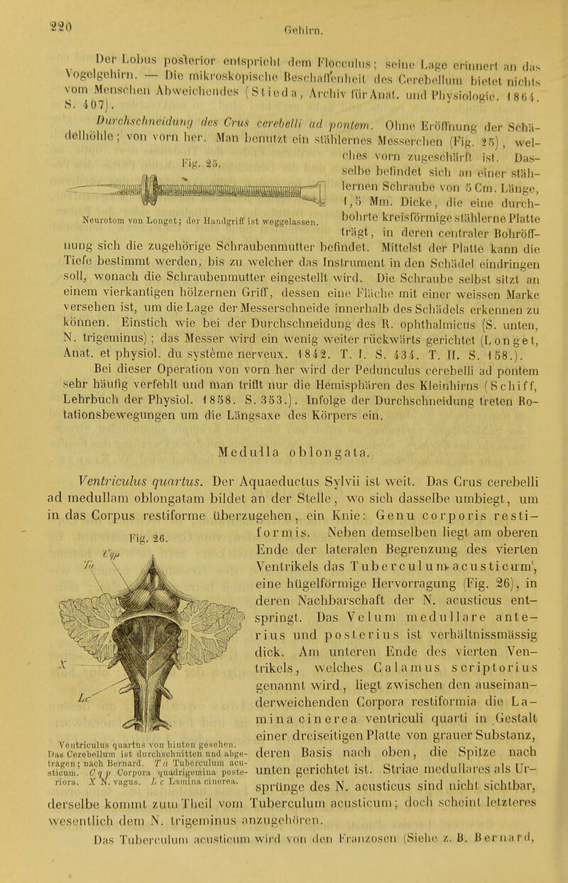 Neurotom von Longet; der Handgriff ist weggelassen. Dur Lohns posterior entsprich m FlOCCUlus; sein,. Lage er (ff all (Jas Vogelgehirn. — Die mikroskopische Beschaffenheil des CerebelLüto bietet nichts vom Mensehen Abweichendes (Stieda, Archiv fürAnat. und Physiologie. 1864. Dürohschneidung des Crus cerebelli ad poniem. Ohne Eröffnung der ScM- (lolhöhle; von vorn her. Man benote ein stählernes Messerchen (Fig. I«j , wel- ches vorn zugeschärft ist. Das- selbe befindet sich au einer stäh- lernen Schraube von 5 Cm. Länge, I,!) Mm. Dicke, die eine durch- bohrte kreisförmige stählerne Platte trägt, in deren centraler BohrÖff- uung sich die zugehörige Schraubenmutter befindet. Mittelst der Platte kann die Tiefe bestimmt werden, bis zu welcher das Instrument in den Schädel eindringen soll, wonach die Schraubenmutter eingestellt wird. Die Schraube selbst sitzt an einem vierkantigen hölzernen Griff, dessen eine Fläche mit einer weissen Marke versehen ist, um die Lage der Messerschneide innerhalb des Schädels erkennen zu können. Einstich wie bei der Durchschneidung des R. ophthahnicus (S. unten, N. trigeminus) ; das Messer wird ein wenig weiter rückwärts gerichtet (Longet, Anat. et physiol. du Systeme nerveux. 1842. T. f. S. 434. T. IL S. 158.). Bei dieser Operation von vorn her wird der Pedunculus cerebelli ad pontem sehr häufig verfehlt und man trifft nur die Hemisphären des Kleinhirns (Schiff, Lehrbuch der Physiol. 1 858. S. 353.). Infolge der Durchschneidung treten Ro- tationsbewegungen um die Längsaxe des Körpers ein. Medulla oblongala. Fig. 26. springt. Ventriculus quartus. Der Aquaeductus Sylvii ist weit. Das Crus cerebelli ad medullam oblongatam bildet an der Stelle, wo sich dasselbe umbiegt, um in das Corpus restiforme überzugehen, ein Knie: Genu corporis resti- i'ormis. Neben demselben liegt am oberen Ende der lateralen Begrenzung des vierten Ventrikels das Tubercul unvacusticum', eine hügelförmige Hervorragung (Fig. 26), in deren Nachbarschaft der N. acusticus ent- Das Velum medulläre ante- rius und posterius ist verhältnissmässig dick. Am unleren Ende des vierten Ven- trikels, welches Calanius scriptorius genannt wird, liegt zwischen den auseinan- derweichenden Corpora restifonnia die La- mina cinerea ventriculi quarti in Gestalt einer dreiseitigen Platte von grauer Substanz, deren Basis nach oben, die Spitze nach unten gerichtet ist. Striae medulläres als Ur- sprünge des N. acusticus sind nicht sichtbar, derselbe kommt zumThcil vom Tuberculum acuslicum; doch scheint letzteres wesentlich dem N. trigeminus anzugehören. Das Tuberculum acuslicum wird von den Franzosen (Siehe Z. Ii. Bernard, Ventriculus quartus von Muten gesehen. Das Cerebellum ist durchschnitten und abge- tragen; nach Bernard. Tu Tuberculum acu- sticuni. Cqp Corpora quadrigcmiua poste- riora. X N. vagus. L r Lami na cinerea.