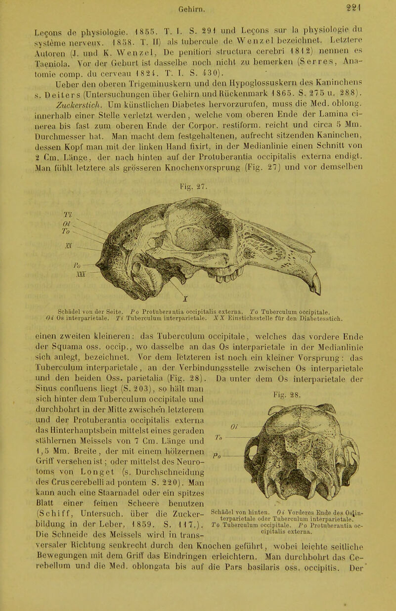 Lo^ons de physiologie. 1855. T. I. S. 291 und Lerons sur la physiologio du Systeme nervciix. 18 58. T. II) als tubereule de Wenzel bezeichnet. Letztere Autoren (.!. und K. Wenzel, De pepitiori slruclura cerebri 1812) nennen es Taeniola. Vor der Geburt ist dasselbe noch nicht zu bemerken (Serres, Ana- tomie comp, du cerveau 18 2 4. T. I. S. 430). Ueber den oberen Trigeminuskcrn und den Hypoglossuskern des Kaninchens s. Deiters (Untersuchungen über Gehirn und Rückenmark 1865. S.275 u. 288). Zuckerstich. Um künstlichen Diabetes hervorzurufen, muss die Med. oblong, innerhalb einer Stelle verletzt werden, welche vom oberen Ende der Lamina ci- nerea bis fast zum oberen Ende der Corpor. restiform. reicht und circa 5 Mm. Durchmesser hat. Man macht dem festgehaltenen, aufrecht sitzenden Kaninchen, dessen Kopf man mit der linken Hand fixirt, in der Medianlinie einen Schnitt von 2 Cm. Länge, der nach hinten auf der Protuberantia occipitalis externa endigt. Man fühlt letztere als grösseren Knochenvorsprung (Fig. 27) und vor demselben Fis. 27. Schädel von der Seite. Po Protuberantia occipitalis externa. To Tuberculum occipitale. Oi Os interparietale. Ti Tuberculum interparietale. XX Einstichsstelle für den Diabetesstich. einen zweiten kleineren: das Tuberculum occipitale, welches das vordere Ende der Squama oss. occip., wo dasselbe an das Os interparietale in der Medianlinie sich anlegt, bezeichnet. Vor dem letzteren ist noch ein kleiner Vorsprung: das Tuberculum interparietale, an der Verbindungsstelle zwischen Os interparietale Da unter dem Os interparietale der Fig; 28. und den beiden Oss. parietalia (Fig. 28) Sinus confluens liegt (S. 203), so hält man sich hinter dem Tuberculum occipitale und durchbohrt in der Mitte zwischen letzterem und der Protuberantia occipitalis externa das Hinterhauptsbein mittelst eines geraden stählernen Meisseis von 7 Cm. Länge und 1,5 Mm. Breite, der mit einem hölzernen Griff versehen ist; oder mittelst des Neuro- toms von Long et (s. Durchschneidung des Cruscerebelliad pontem S. 220). Man kann auch eine Staarnadel oder ein spitzes Blatt einer feinen Scheerc benutzen (Schiff, Untersuch, über die Zuckcr- bildung in der Leber, 1 859. S. 117.). Die Schneide des Meisseis wird in trans- versaler Richtung senkrecht durch den Knochen geführt, wobei leichte seilliehe Bewegungen mit dem Griff das Findlingen erleichtern. Man durchbohrt das Ce- rebellum und die Med. oblongata bis auf die Pars basilaris oss. occipitis. Der Schädel von hinten. Oi Vorderes Ende des Osjin- terparietale oder Tuberculum interparietale. To Tuberculum occipitale. Po Protuberantia oc- cipitalis externa.