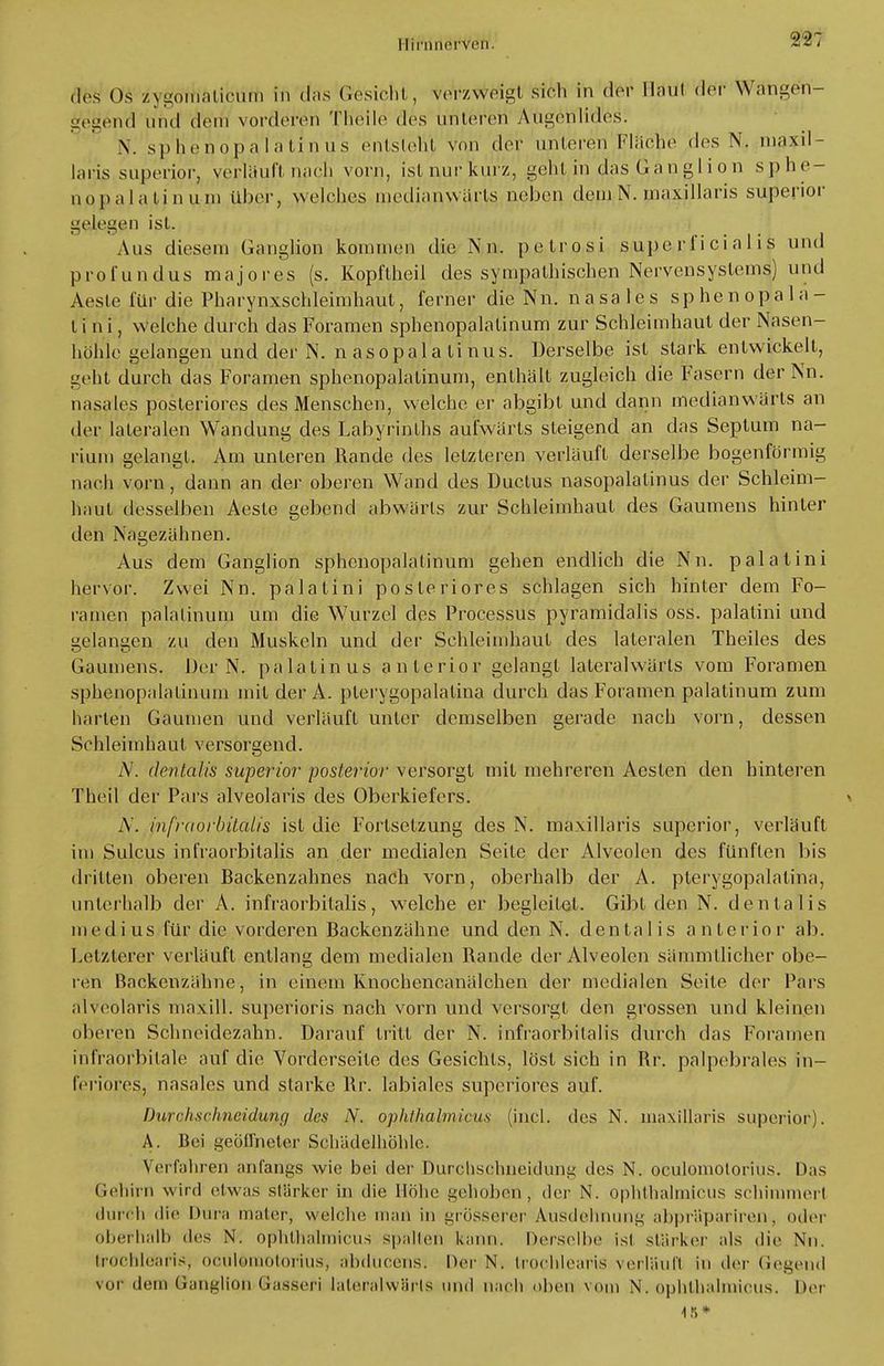 PHrnrterVen. des ()s zygoftiaticum in das Gesicht, Vetartdgt sich in der Hätil der Wätigen- gegend und dem vorderöii fheile des unteren Augenlides. Y sphenopa latin us entsieht von der unteren Fläche des N, maxil- laris. superior, verlauft nach vorn, ist nurkurz, gehl in das Ganglion sphe- nopalalinuni über, welches medianwärts neben dem N. maxillaris superior gelegen ist. Aus diesem Ganglion kommen die Nn. pelrosi superficialis und profundus majores (s. Kopftheil des sympathischen Nervensystems) und Aesle für die Pharynxschleimhaul, ferner die Nn. nasales sphenopalä- t i n i, welche durch das Foramen sphenopalalinum zur Schleimhaut der Nasen- höhle gelangen und der N. n asopal a Ii nus. Derselbe ist stark entwickelt, geht durch das Foramen sphenopalalinum, enthält zugleich die Fasern derNn. nasales posteriores des Menschen, welche er abgibt und dann medianwärts an der lateralen Wandung des Labyrinths aufwärts steigend an das Septum na- rium gelangt. Am unleren Rande des letzleren verläuft derselbe bogenförmig nach vorn, dann an der oberen Wand des Ductus nasopalatinus der Schleim- haut desselben Aesle gebend abwärts zur Schleimhaut des Gaumens hinter den Nagezähnen. Aus dem Ganglion sphenopalalinum gehen endlich die Nn. palatini hervor. Zwei Nn. palatini posteriores schlagen sich hinter dem Fo- ramen palalinum um die Wurzel des Processus pyramidalis oss. palatini und gelangen zu den Muskeln und der Schleimhaut des lateralen Theiles des Gaumens. Der N. pa Latin US anterior gelangt lateralwärts vom Foramen sphenopalalinum mit derA. plerygopalalina durch das Foramen palatinum zum harten Gaumen und verläuft unter demselben gerade nach vorn, dessen Schleimhaut versorgend. N. dentalis superior posterior versorgt mit mehreren Aeslen den hinteren Theil der Pars alveolaris des Oberkiefers. > N. infraorbitalis ist die Fortsetzung des N. maxillaris superior, verläuft im Sulcus infraorbitalis an der medialen Seile der Alveolen des fünften bis drillen oberen Backenzahnes nach vorn, oberhalb der A. plerygopalatina, unterhalb der A. infraorbitalis, welche er begleitet. Gibt den N. dentalis medius für die vorderen Backenzähne und den N. dentalis anterior ab. Letzlerer verläuft entlang dem medialen Rande der Alveolen sämmllicher obe- ren Backenzähne, in einem Knochencanälchen der medialen Seile der Pars alveolaris maxill. superioris nach vorn und versorgt den grossen und kleinen oberen Schneidezahn. Darauf tritt der N. infraorbitalis durch das Foramen infraorbitale auf die Vorderseile des Gesichts, löst sich in Rr. palpebrales in- feriores, nasales und starke Rr. labiales superiores auf. Durchschncidunq des N. ophthalmicus (incl. des N. maxillaris superior). A. Bei geöffneter Sch'ädelhöhlc. Verfahren anfangs wie bei der Durchschneidung des N. oculomolorius. Das Sebirn wird etwas stärker in die Höhe gehoben, der N. ophthalmicus Schimmerl durch die Dura mater, welche mau in grosserer Ausdehnung ahpräpai iren . oder oberhalb des N. ophthalmicus spalten kann. Derselbe ist stärker als die Nn. Iroehlcai is, oculomolorius, äbdUCens. Oer N. Imehlearis verläufl in der liegend vor dem Ganglion G-assefi latenalwBrls und nach oben vom N. ophthalmicus. Der 15*