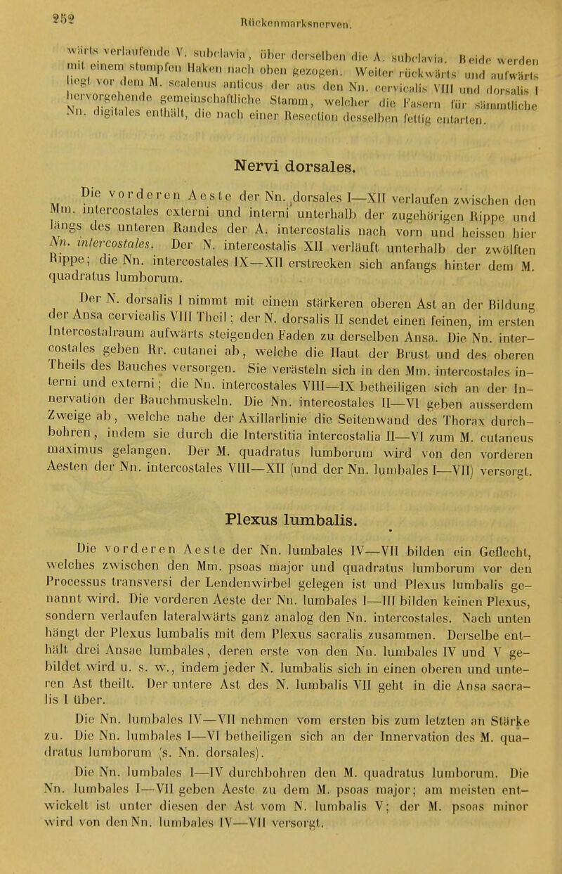 25? warte verla*WQdB V. subclavia', öfter derselben die A. subclavia. Beide werden ™ ,.„,,„ stl„npl,„ Hak.-., na,h oben gezogen* W,,,,, röckwärtß andante ^Mo, (ln„ M. sralonus annn.s der aus den Nu. cen icalis \ III und (,o,sa,is I hoi vorgehende gemnusrhaftliche Slam,,,, sicher die, Fasern für sämtliche Nn. digitales enthüll, die nach einer Besection desselben fettig entarten Nervi dorsales. Die vorderen A es lc der Nn. dorsales I—XII verlaufen zwischen den Mm. intercostales extern? und interna unterhalb der zugehörigen Rippe, und längs des unteren Randes der A. intercostalis nach vorn und heissen hin Nn. intercostales. Der N. intercostalis XII verläuft unterhalb der zwölften Hippe; dieNn. intercostales IX—XII erstrecken sich anfangs hinter dem M. quadratus lumborum. Der N. dorsalis I nimmt mit einem stärkeren oberen Ast an der Bildung der Ansa cervicalis VIII Theil; der N. dorsalis II sendet einen feinen, im ersten Intercostalraum aufwärts steigenden Faden zu derselben Ansa. Die Nn. inter- costales geben Rr. cutanei ab, welche die Haut der Brust und des oberen Theils des Bauches versorgen. Sie verästeln sich in den Mm. intercostales in- term und externi; die Nn. intercostales VIII—IX betheiligen sich an der In- nervation der Bauchmuskeln. Die Nn. intercostales II—VI geben ausserdem Zweige ab, welche nahe der Axillarlinie die Seitenwand des Thorax durch- bohren, indem sie durch die Interstitia intercostalia II—VI zum M. cutaneus maximus gelangen. Der M. quadratus lumborum wird von den vorderen Aesten der Nn. intercostales VIII—XII (und der Nn. lumbales I—VII) versorgt. Plexus lumbalis. Die vorderen Aeste der Nn. lumbales IV—VII bilden ein Geflecht, welches zwischen den Mm. psoas major und quadratus lumborum vor den Processus transversi der Lendenwirbel gelegen ist und Plexus lumbalis ge- nannt wird. Die vorderen Aeste der Nn. lumbales I—III bilden keinen Plexus, sondern verlaufen lateralwärts ganz analog den Nn. intercostales. Nach unten hängt der Plexus lumbalis mit dem Plexus sacralis zusammen. Derselbe ent- hält drei Ansäe lumbales, deren erste von den Nn. lumbales IV und V ge- bildet wird u. s. w., indem jeder N. lumbalis sich in einen oberen und unte- ren Ast (heilt. Der untere Ast des N. lumbalis VII geht in die Ansa sacra- lis l über. Die Nn. lumbales IV—VII nehmen vom ersten bis zum letzten an Stärke zu. Die Nn. lumbales I—VI betheiligen sich an der Innervation des M. qua- dratus lumborum [s. Nn. dorsales). Die Nn. lumbales 1—IV durchbohren den M. quadratus lumborum. Die Nn. lumbales I—VII geben Aeste zu dem M. psoas major; am meisten ent- wickelt ist unter diesen der Ast vom N. lumbalis V; der M. psoas minor wird von denNn. lumbales IV—VII versorgt.