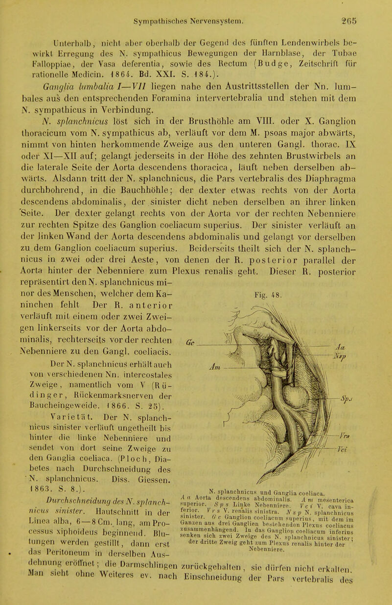 Unterhalb, nicht aber oberhalb der Gegend des fünften Lendenwirbels be- wirkt Erregung des N. sympathicus Bewegungen der Harnblase, der Tubae Falloppiae, der Vasa deferentia, sowie des Rectum (Budge, Zeilschrift für rationelle Medicin. 1864. Bd. XXI. S. 184.). Ganglia lumbalia I—VII liegen nahe den Austrittsstellen der Nn. lum- bales aus den entsprechenden Foramina intervertebralia und stehen mit dem N. sympathicus in Verbindung. N. splanchnicus löst sich in der Brusthöhle am VIII. oder X. Ganglion thoracicum vom N. sympathicus ab, verläuft vor dem M. psoas major abwärts, nimmt von hinten herkommende Zweige aus den unteren Gangl. thorac. IX oder XI—XII auf; gelangt jederseits in der Höhe des zehnten Brustwirbels an die laterale Seite der Aorta descendens thoracica, läuft neben derselben ab- wärts. Alsdann tritt der N. splanchnicus, die Pars vertebralis des Diaphragma durchbohrend, in die Bauchhöhle; der dexter etwas rechts von der Aorta descendens abdominalis, der sinister dicht neben derselben an ihrer linken 'Seite. Der dexter gelangt rechts von der Aorta vor der rechten Nebenniere zur rechten Spitze des Ganglion coeliacum snperius. Der sinister verläuft an der linken Wand der Aorta descendens abdominalis und gelangt vor derselben zu dem Ganglion coeliacum superius. Beiderseits theilt sich der N. splanch- nicus in zwei oder drei Aeste, von denen der B. posterior parallel der Aorta hinter der Nebenniere zum Plexus renalis geht. Dieser B. posterior repräsentirt denN. splanchnicus mi- nor des Menschen, welcher dem Ka- ninchen fehlt Der B. anterior verläuft mit einem oder zwei Zwei- gen linkerseits vor der Aorta abdo- minalis, rechterseits vor der rechten Nebenniere zu den Gangl. coeliacis. Der N. splanchnicus erhält auch von verschiedenen Nn. intercostales Zweige, namentlich vom V (Rü- dinger, Rückenmarksnerven der Baucheingeweide. 1 866. S. 25). Varietät. Der N. splanch- nicus sinister verläuft ungetheilt bis hinter die linke Nebenniere und sendet von dort seine Zweige zu den Ganglia coeliaca. (Ploch, Dia- betes nach Durchschneidung des N. splanchnicus. Diss. Gicssen. 1863. S. 8.). Durchschneidung des N. splanch- nicus sinister. Hautschnitt in der Linea alba, 6 —8 Cm. hing, am Pro- cessus xiphoideus beginnend. Blu- tungen werden gestillt, dann erst das Peritoneum in derselben Aus- it^r w!-, DarmSChlil^» zurückgehalten, sie dürfen nicht erkalten. Man Sieht ohne Wc.tercs ev. nach Einschneidung der Pars vertebralis des N. splanchnicus und Ganglia coeliaca. A Ii Aorta descendens abdominalis. A m mesenterica snpenor. Sps Linke Nebenniere. Vci V. cava in- ferior. V r s V. renalis sinistra. Ns p N. splanchnicus sinistor. Qc Ganglion coeliacum snperius, mit dem im Ganzen aus drei Ganglien bestehejiden Plexus coeliacus zusammenhängend. In das Ganglion coeliacum inferius senken sich zwei Zweige dos N. splanchnicus sinister; der dritte Zweig geht zum Plexus renalis hinter der Nebonniere.