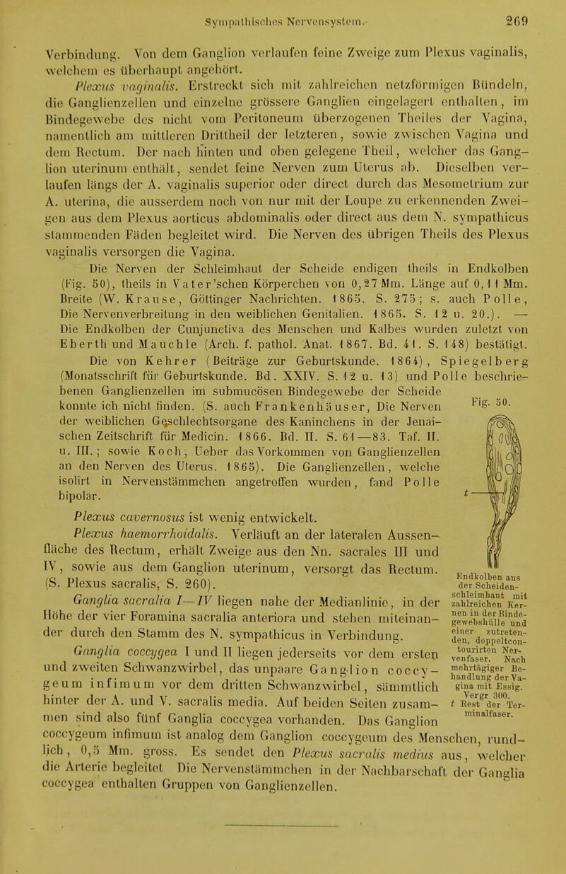 Fig. SO. Verbindung. Von dem Ganglion vorlaufen feine Zweige zum Plexus vaginalis, welchem es überhaupt angehört. Plexus vaginalis. Erstreckt sich mit zahlreichen netzförmigen Bündeln, die Ganglien/eilen und einzelne grössere Ganglien eingelagert enthalten, im Bindegewebe des nicht vom Peritoneum überzogenen Theiles der Vagina, namentlich am mittleren Drittheil der letzteren, sowie zwischen Vagina und dem Rectum. Der nach hinten und oben gelegene Theil, welcher das Gang- lion uterinum enthält, sendet feine Nerven zum Uterus ab. Dieselben ver- laufen längs der A. vaginalis superior oder direct durch das Mesomelrium zur A. uterina, die ausserdem noch von nur mit der Loupe zu erkennenden Zwei- gen aus dem Plexus aorticus abdominalis oder direct aus dem N. sympathicus stammenden Fäden begleitet wird. Die Nerven des übrigen Theils des Plexus vaginalis versorgen die Vagina. Die Nerven der Schleimhaut der Scheide endigen theils in Endkolben (Fig. 50), theils in Vater'schen Körperchen von 0,27 Mm. Länge auf 0,1 1 Mm. Breite (W. Krause, Göttinger Nachrichten. 1865. S. 275; s. auch Polle, Die Nervenverbreitung in den weiblichen Genitalien. 1 865. S. 12 u. 20.). — Die Endkolben der Cunjunctiva des Menschen und Kalbes wurden zuletzt von Eberth und Mauchle (Arch. f. pathol. Anat. 1 867. Bd. 41. S. 148) bestätigt. Die von Kehrer (Beiträge zur Geburtskunde. 1 864), Spiegelberg (Monatsschrift für Geburtskunde. Bd. XXIV. S. 12 u. 13) und Polle beschrieb benen Ganglienzellen im submucosen Bindegewebe der Scheide konnte ich nicht finden. (S. auch Frankenhäuser, Die Nerven der weiblichen Geschlechtsorgane des Kaninchens in der Jenai- schen Zeitschrift für Medicin. 1 866. Bd. II. S. 61—83. Taf. II. u. III.; sowie Koch, Ueber das Vorkommen von Ganglienzellen an den Nerven des Uterus. 1 865). Die Ganglienzellen, welche isolirt in Nervenstämmchen angetroffen wurden, fand Polle bipolar. Plexus cavernosus ist wenig entwickelt. Plexus haemorrhoidalis. Verläuft an der lateralen Aussen- fläche des Rectum, erhält Zweige aus den Nn. sacrales III und IV, sowie aus dem Ganglion uterinum, versorgt das Rectum. (S. Plexus sacralis, S. 260). Ganglia sacralia I—IV liegen nahe der Medianlinie, in der Höhe der vier Foramina sacralia anteriora und stehen miteinan- der durch den Stamm des N. sympathicus in Verbindung. Ganglia coccygea I und II liegen jederseits vor dem ersten und zweiten Schwanzwirbel, das unpaare Ganglion coccy- geum infimum vor dem dritten Schwanzwirbel, sämmtlich hinter der A. und V. sacralis media. Auf beiden Seiten zusam- men sind also fünf Ganglia coccygea vorhanden. Das Ganglion coccygeum infimum ist analog dem Ganglion coccygeum des Menschen, rund- lich , 0,5 Mm. gross. Es sendet den Plexus sacralis medius aus, welcher die Arterie begleitet Die Nervenstämmchen in der Nachbarschaft der Ganglia coccygea enthalten Gruppen von Ganglienzellen. Endkolben aus der Scheiden- schleimhaut mit zahlreichen Ker- nen in der Binde- gewebshülle und einer zutreten- den, doppeltcon- tourirten Ner- venfaser. Nach mehrtägiger Be- handlung der Va- gina mit Essig. Vergr 300. t Rest der Ter- minalfaser.