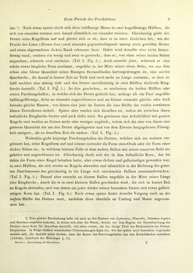 dar.*) Noch etwas später tlieilt sich diese zähflüssige Masse in zwei kugelförmige Hälften, die sich von einander trennen und darauf allmählich aus einander weichen. Gleichzeitig giebt der Dotter seine Kugelform auf und plattet sich so ab, dass er in einer ähnlichen .\rt, wie die Frucht der Linse [Ervum lens) zwei einander gegenüberliegende mässig stark gewölbte Seiten und einen abgerundeten dicken Rand erkennen lässt. Dabei wird derselbe aber nicht linsen- förmig rund, sondern ein wenig und zwar so gestreckt, dass er, von einer seiner beiden Seiten angesehen, schwach oval erscheint. (Taf. I. Fig. 2.) Auch entsteht jetzt, während er eine solche etwas längliche Form annimmt, ungefähr in der Mitte seiner einen Seite, wo aus ihm schon eine kleine Quantität seines flüssigen Bestandtheiles hervorgedrungen ist, eine seichte Querfurche, die darauf in kurzer Zeit an Tiefe und noch mehr an Länge zunimmt, so dass sie bald nachher eine mässig tiefe und den Dotter unvollständig in zwei Hälften theilende Ring- furche darstellt. (Taf. I. Fig. 3.) Ist dies geschehen, so erscheinen die beiden Hälften oder ersten Furchungsballen, in welche sich der Dotter getheilt hat, anfangs als ein Paar ungefähr halbkugelförmige, dicht an einander angeschlossene und an Grösse einander gleiche oder doch beinahe gleiche INIassen, von denen eine jede im Innern die eine Hälfte des vorhin erwähnten klaren Dotterkerns enthält. Später aber runden sich dieselben zu, indess die zwischen ihnen befindliche Ringfurche breiter und auch tiefer wird. Sie gewinnen eine Aehnlichkeit mit ganzen Kugeln und werden an Grösse mehr oder weniger ungleich, indem sich die eine von ihnen eine grössere Quantität der um den Dotter abgelagerten und von dem Eiweiss hergegebenen Flüssig- keit aneignet, als zu derselben Zeit die andere. (Taf. I. Fig. 4.) Weiterhin giebt derjenige Furchungsballen des Dotters, welcher sich am meisten ver- grössert hat, seine Kugelform auf und nimmt entweder die Form einesOvals oder die Form einer dicken Bohne an, in welchem letztem Falle er dem andern Ballen mit seiner concaven Seite zu- gekehrt und angeschlossen ist. Gleichzeitig theilt sich der in ihm befindliche Kern, der bis dahin die Form einer Kugel behalten hatte, aber etwas dichter und gallertartiger gcAvorden war, in zwei Hälften, die sich wieder zu Kugeln abrunden und allmählich in der Richtung des gröss- ten Durchmessers des gleichzeitig in die Länge sich streckenden Ballens auseinanderrücken. (Taf. I. Fig. 5.) Darauf aber entsteht an diesem Ballen ungefähr in der Mitte seiner Länge eine Ringfurche, durch die er in zwei kleinere Ballen geschieden wird, die sich in kurzer Zeit zu Kugeln abrunden, und von denen ein jeder wieder seinen besondern klaren und etwas gallert- artigen Kern hat. (Taf. I. Fig. 6.) Noch etwas später findet derselbe Vorgang auch an der andern Hälfte des Dotters statt, nachdem diese ebenfalls an Umfang und Masse zugenom- men hat. 1) Eine gleiche Erscheinung habe ich auch an den Dottern von Lymnaeus, Planorbis, Paludina impura und Succinea amphibia bemerkt, in denen sich aber die Masse, welche vor dem Beginn der Durchfurchung des Dotters einen Kern für denselben darstellt, viel zäher erwies, als der übrige Theil des Bindemittels der Dotter- körperchen. In Folge vielfach wiederholter Untersuchungen kann ich, wie das später noch besonders begründet werden soll, die Ansicht nicht theilen, dass die Kerne der Furchungsballen aus den Keimbläschen entstehen (Letdig, Lehrbuch der Histologie §. 10). R a t h k e, Entwicklung der Hirudineen. 2