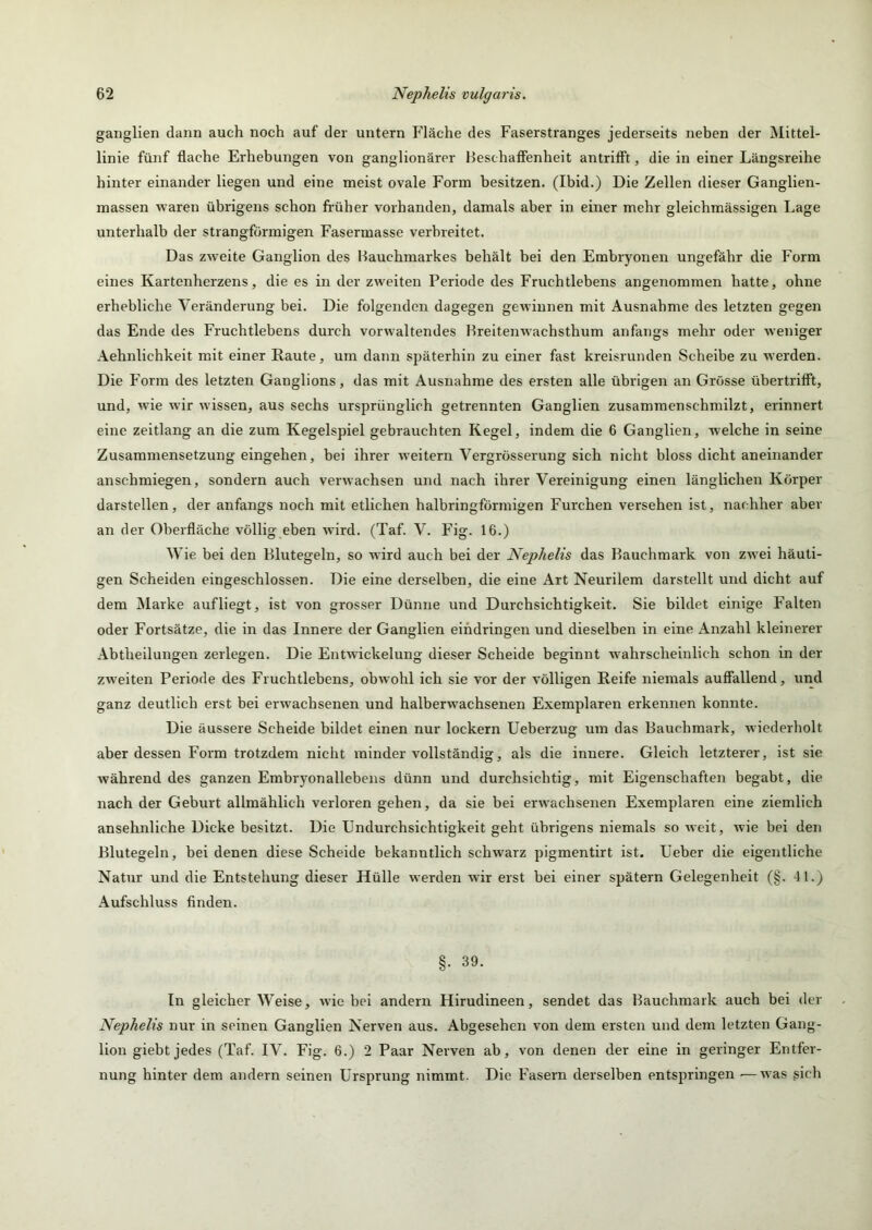 ganglien dann auch noch auf der untern Fläche des Faserstranges jederseits neben der Mittel- linie fünf flache Erhebungen von ganglionärer Heschafienheit antrifft, die in einer Längsreihe hinter einander liegen und eine meist ovale Form besitzen. (Ibid.) Die Zellen dieser Ganglien- massen -waren übrigens schon früher vorhanden, damals aber in einer mehr gleichmässigen Lage unterhalb der strangförmigen Fasermasse verbreitet. Das zweite Ganglion des Hauchmarkes behält bei den Embryonen ungefähr die Form eines Kartenherzens, die es in der zweiten Periode des Fruchtlebens angenommen hatte, ohne erhebliche Veränderung bei. Die folgenden dagegen gewinnen mit Ausnahme des letzten gegen das Ende des Fruchtlebens durch vorwaltendes Hreitenwachsthum anfangs mehr oder weniger Aehnlichkeit mit einer Raute, um dann späterhin zu einer fast kreisrunden Scheibe zu werden. Die Form des letzten Ganglions, das mit Ausnahme des ersten alle übrigen an Grösse übertrifft, und, wie wir wissen, aus sechs ursprünglich getrennten Ganglien zusammenschmilzt, erinnert eine zeitlang an die zum Kegelspiel gebrauchten Kegel, indem die 6 Ganglien, welche in seine Zusammensetzung eingehen, bei ihrer weitern Vergrösserung sich nicht bloss dicht aneinander anschmiegen, sondern auch verwachsen und nach ihrer Vereinigung einen länglichen Körper darstellen, der anfangs noch mit etlichen halbringförmigen Furchen versehen ist, nachher aber an der Oberfläche völlig eben wird. (Taf. V. Fig. 16.) Wie bei den Blutegeln, so wird auch bei der Nephelis das Bauchmark von zwei häuti- gen Scheiden eingeschlossen. Die eine derselben, die eine Art Neurilem darstellt und dicht auf dem Älarke aufliegt, ist von grosser Dünne und Durchsichtigkeit. Sie bildet einige Falten oder Fortsätze, die in das Innere der Ganglien eihdringen und dieselben in eine Anzahl kleinerer Abtheilungen zerlegen. Die Entwickelung dieser Scheide beginnt wahrscheinlich schon in der zweiten Periode des Fruchtlebens, obwohl ich sie vor der völligen Reife niemals auffallend, und ganz deutlich erst bei erwachsenen und halberwachsenen Exemplaren erkennen konnte. Die äussere Scheide bildet einen nur lockern Ueberzug um das Bauchmark, wiederholt aber dessen Form trotzdem nicht minder vollständig, als die innere. Gleich letzterer, ist sie während des ganzen Embryonallebens dünn und durchsichtig, mit Eigenschaften begabt, die nach der Geburt allmählich verloren gehen, da sie bei erwachsenen Exemplaren eine ziemlich ansehnliche Dicke besitzt. Die Undurchsichtigkeit geht übrigens niemals so weit, wie bei den Blutegeln, bei denen diese Scheide bekanntlich schwarz pigmentirt ist. Ueber die eigentliche Natur und die Entstehung dieser Hülle werden wir erst bei einer spätem Gelegenheit (§. 41.) Aufschluss finden. §. 39. In gleicher Weise, wie bei andern Hirudineen, sendet das Bauchmark auch bei der Nephelis nur in seinen Ganglien Nerven aus. Abgesehen von dem ersten und dem letzten Gang- lion giebt jedes (Taf. IV. Fig. 6.) 2 Paar Nerven ab, von denen der eine in geringer Entfer- nung hinter dem andern seinen Ursprung nimmt. Die Fasern derselben entspringen -—was sich